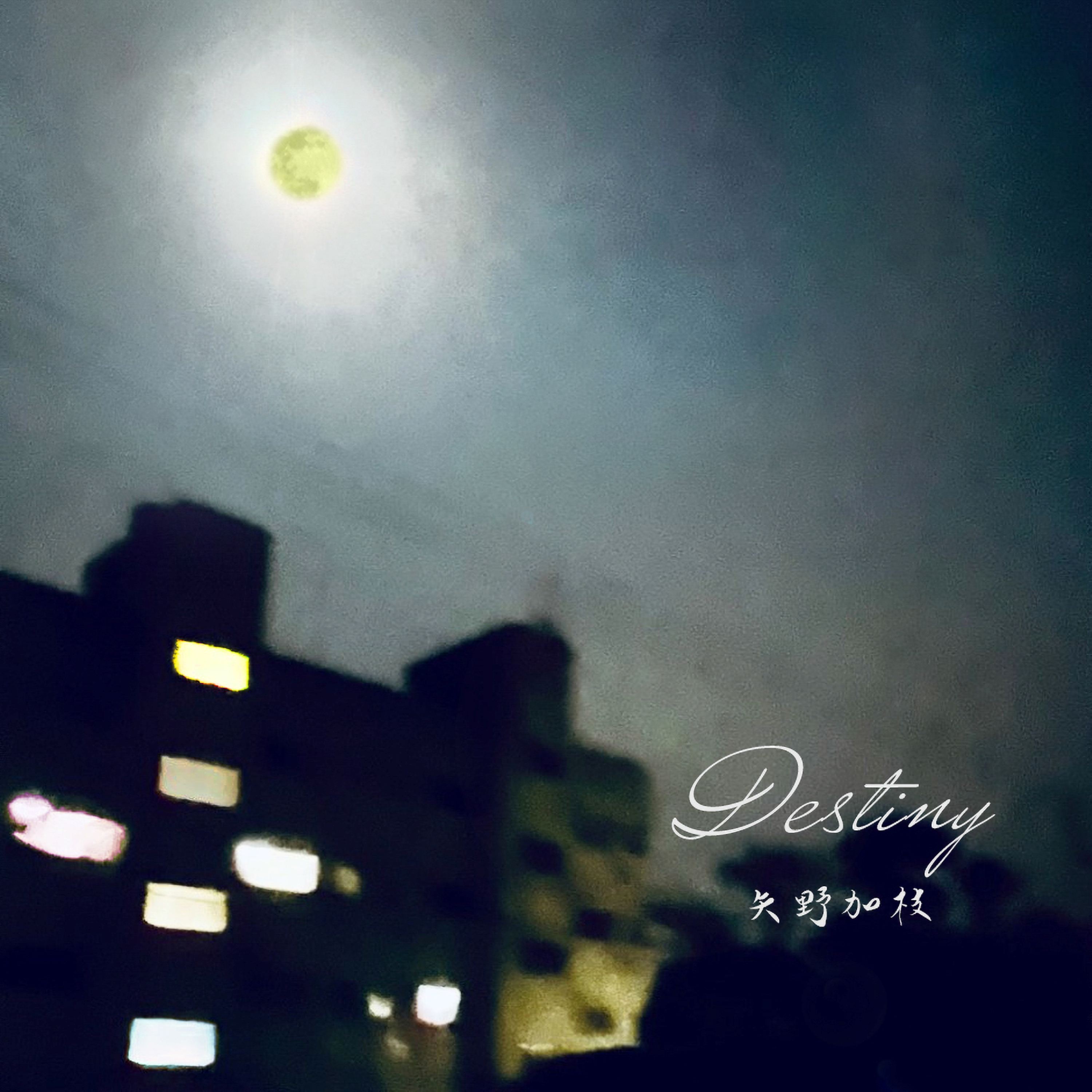 アーティスト写真