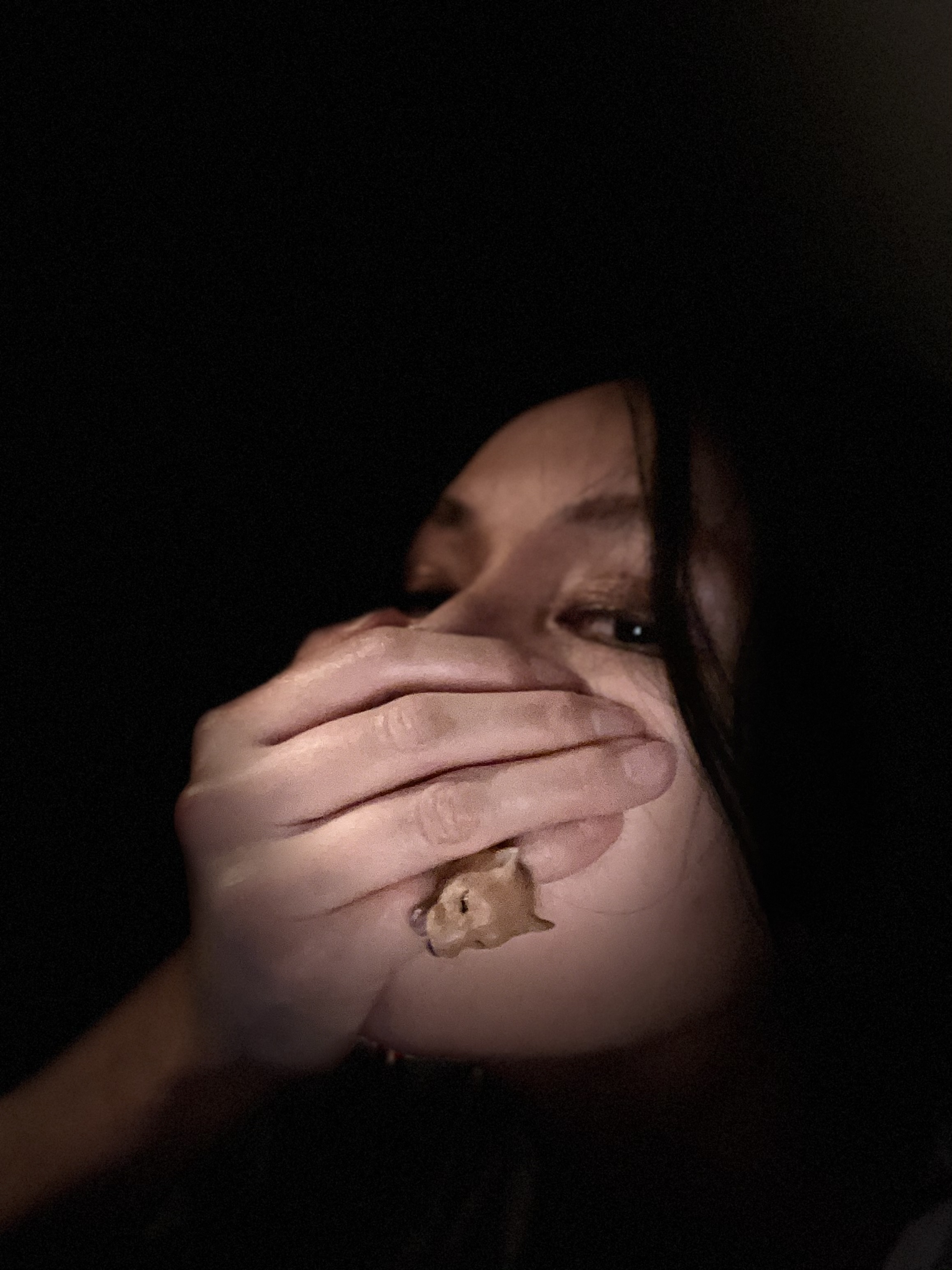 アーティスト写真