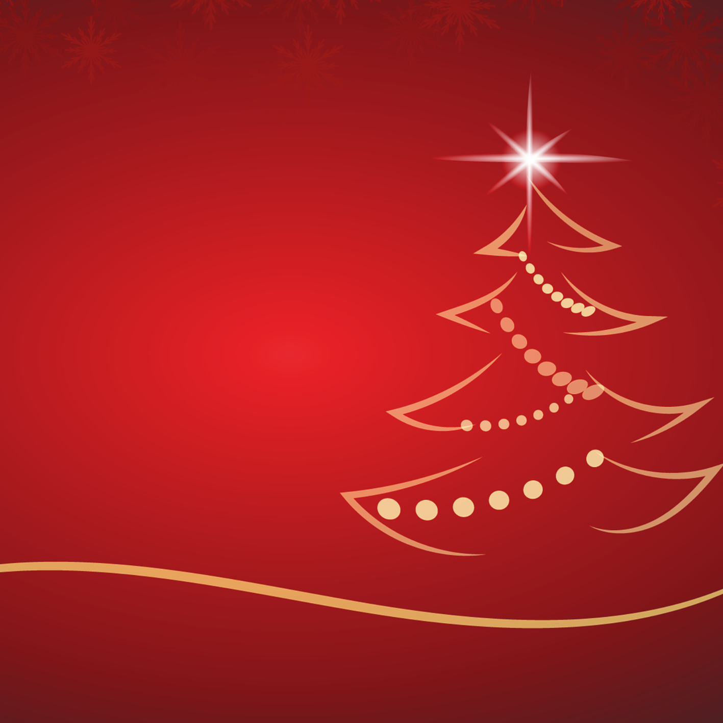 アーティスト写真