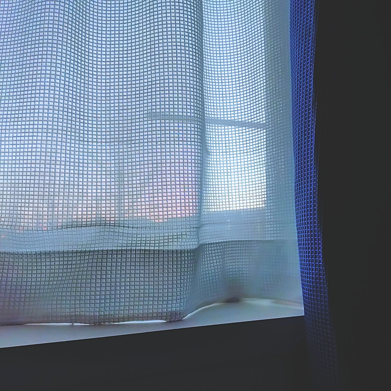 アーティスト写真