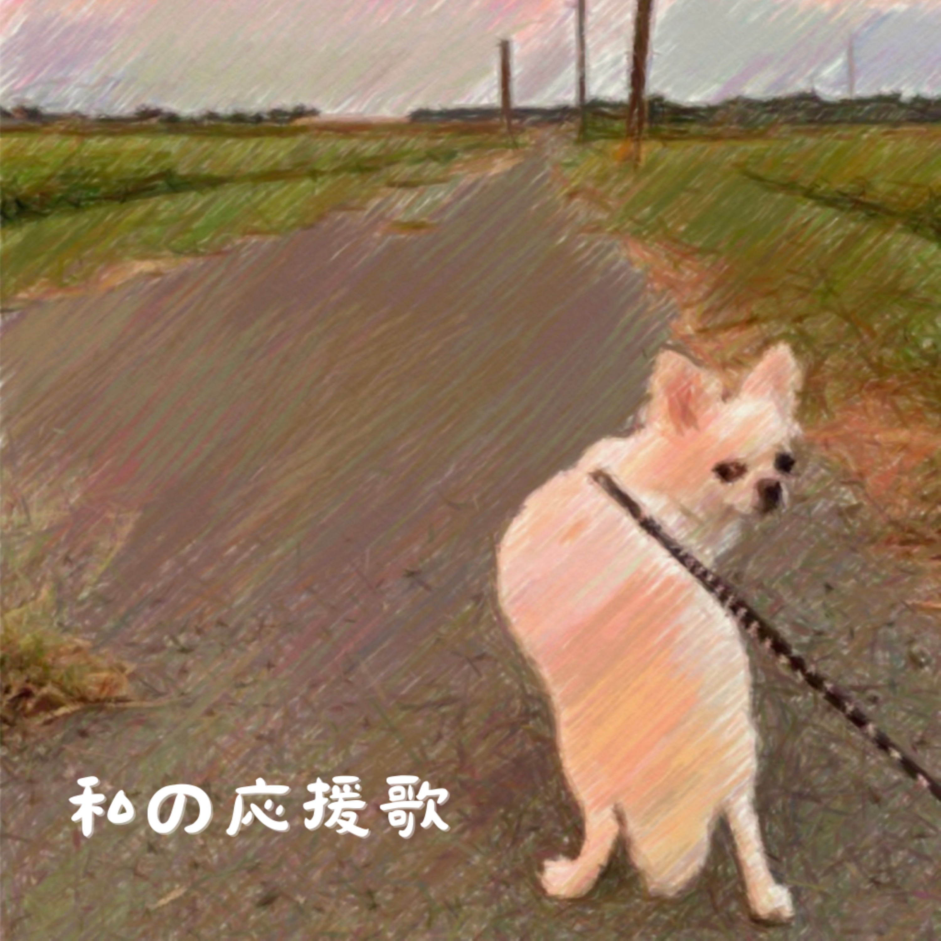 アーティスト写真