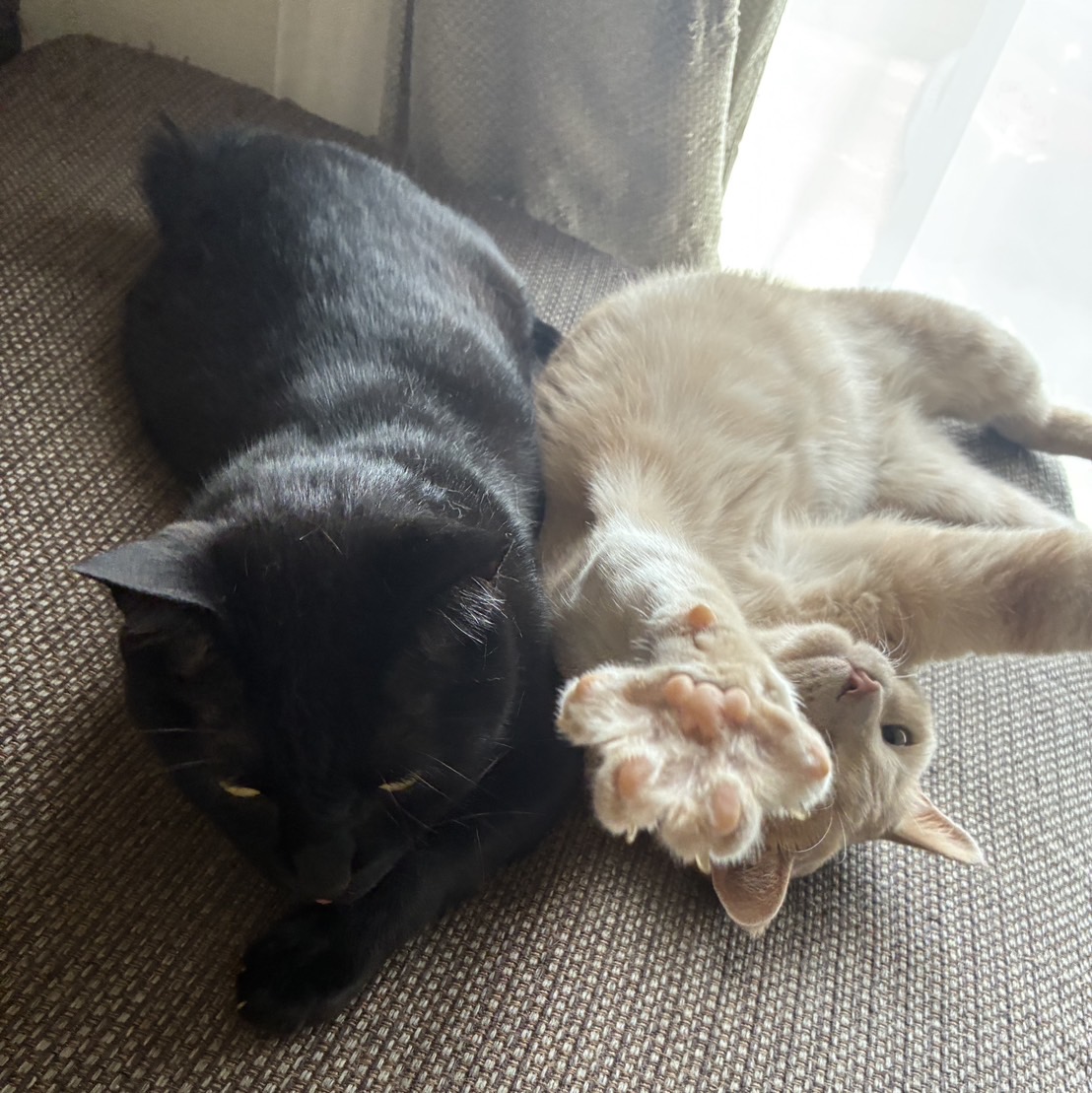 アーティスト写真