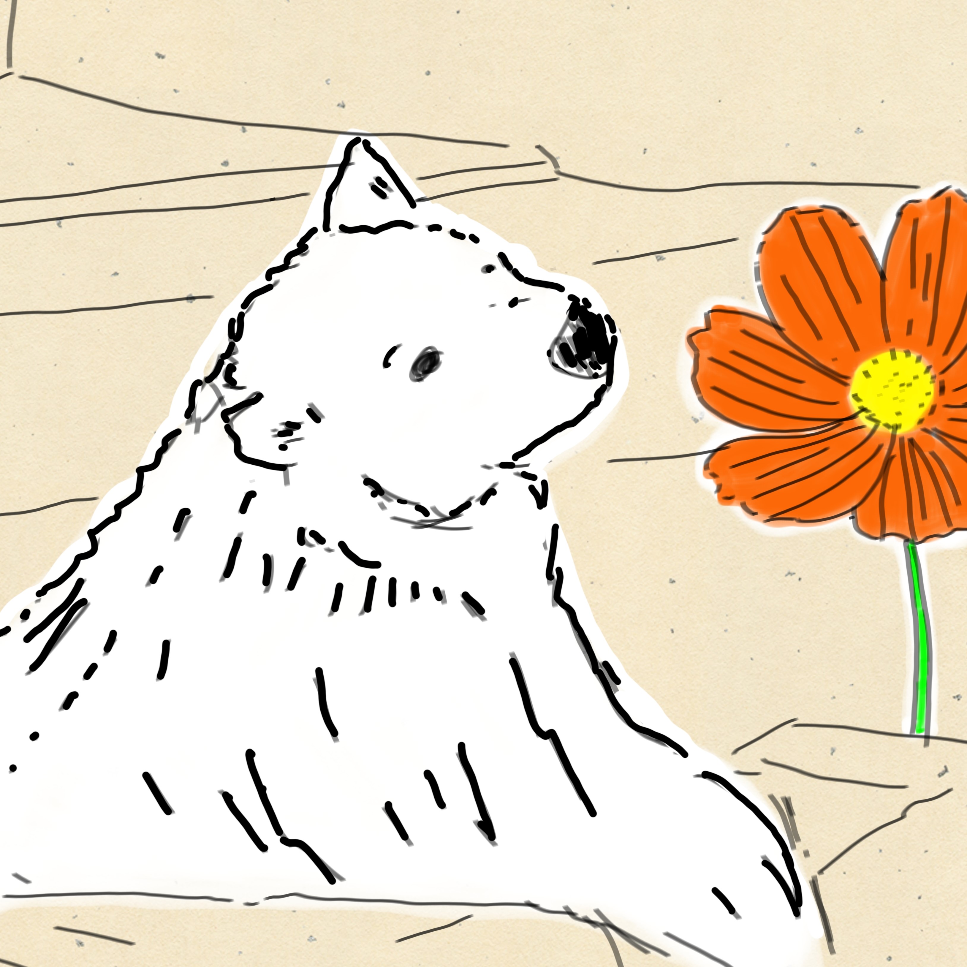 アーティスト写真