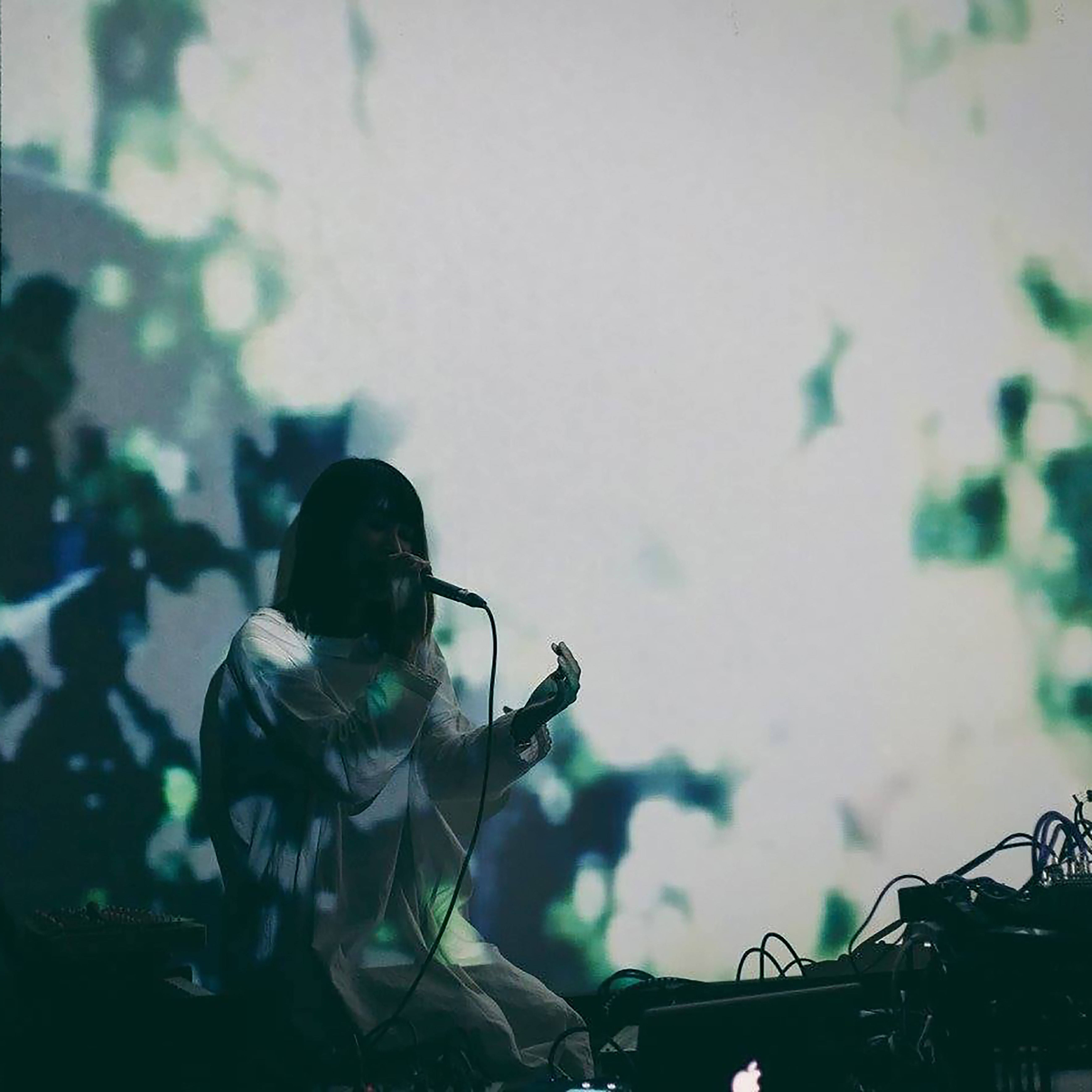 アーティスト写真