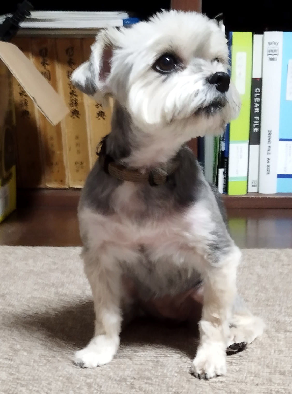 アーティスト写真