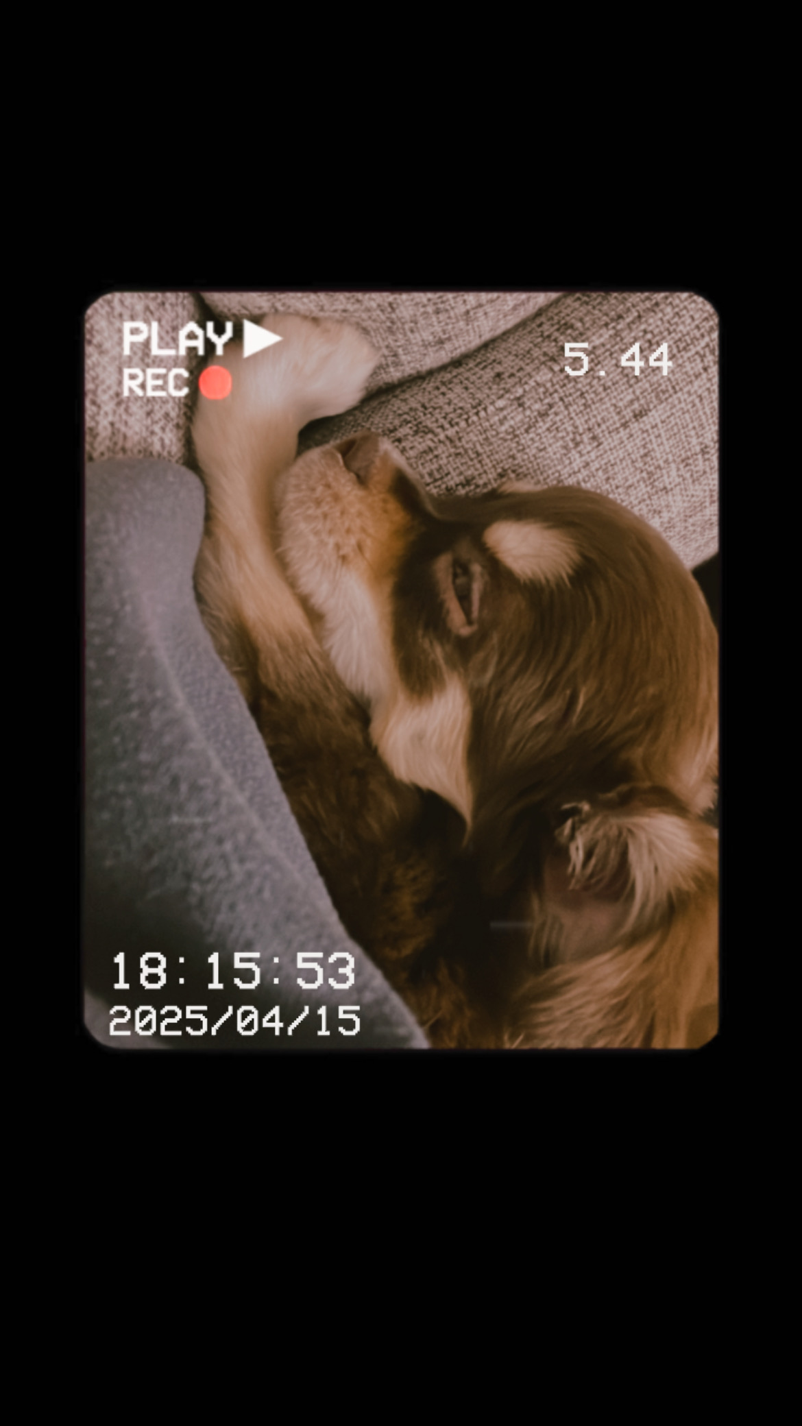 アーティスト写真