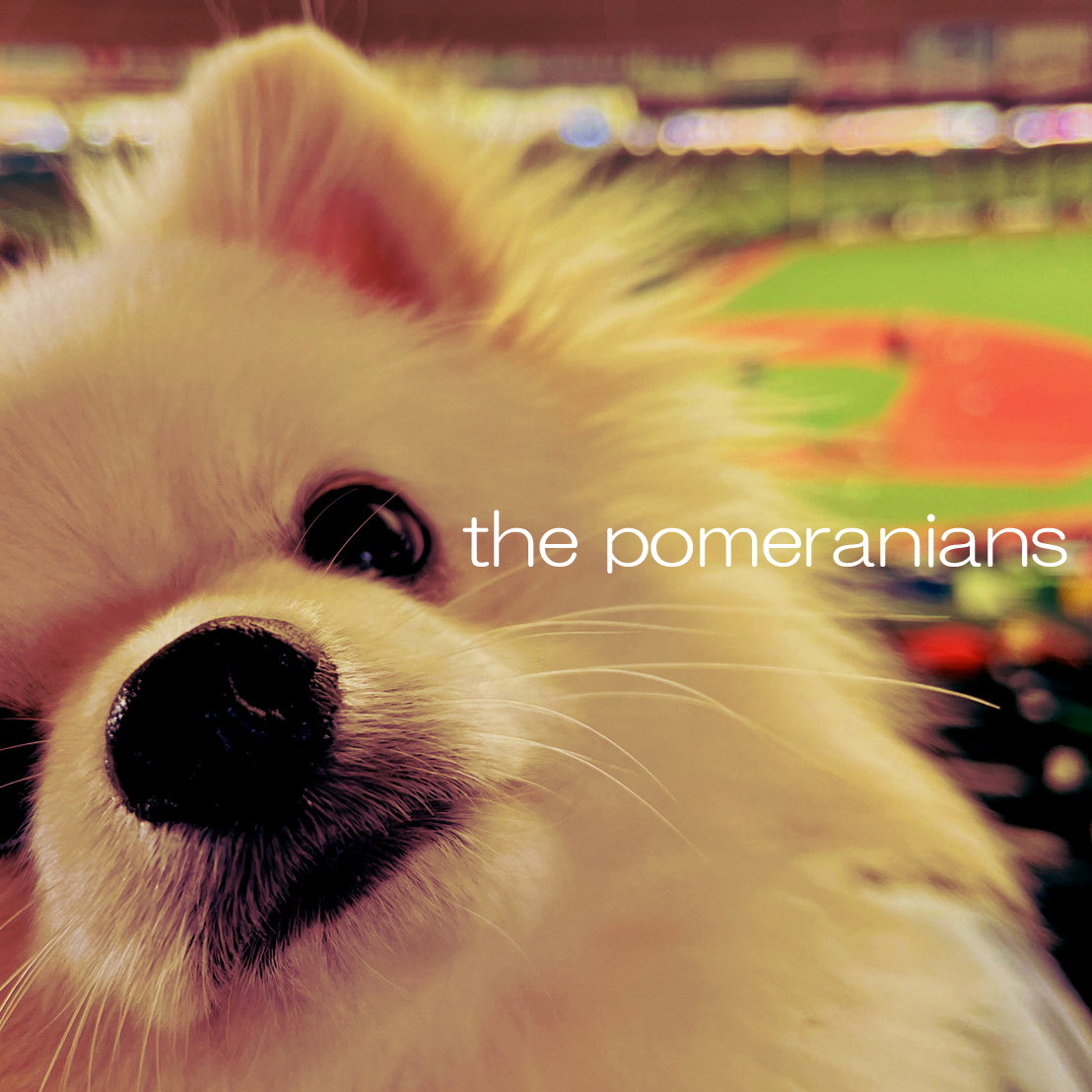 アーティスト写真