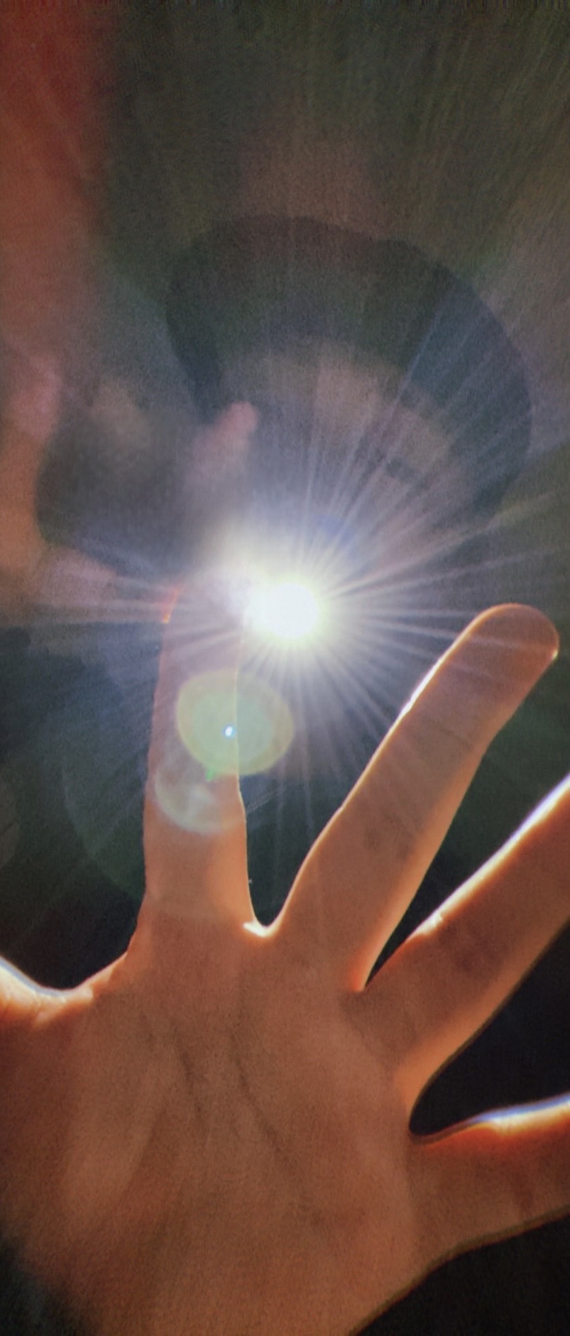 アーティスト写真