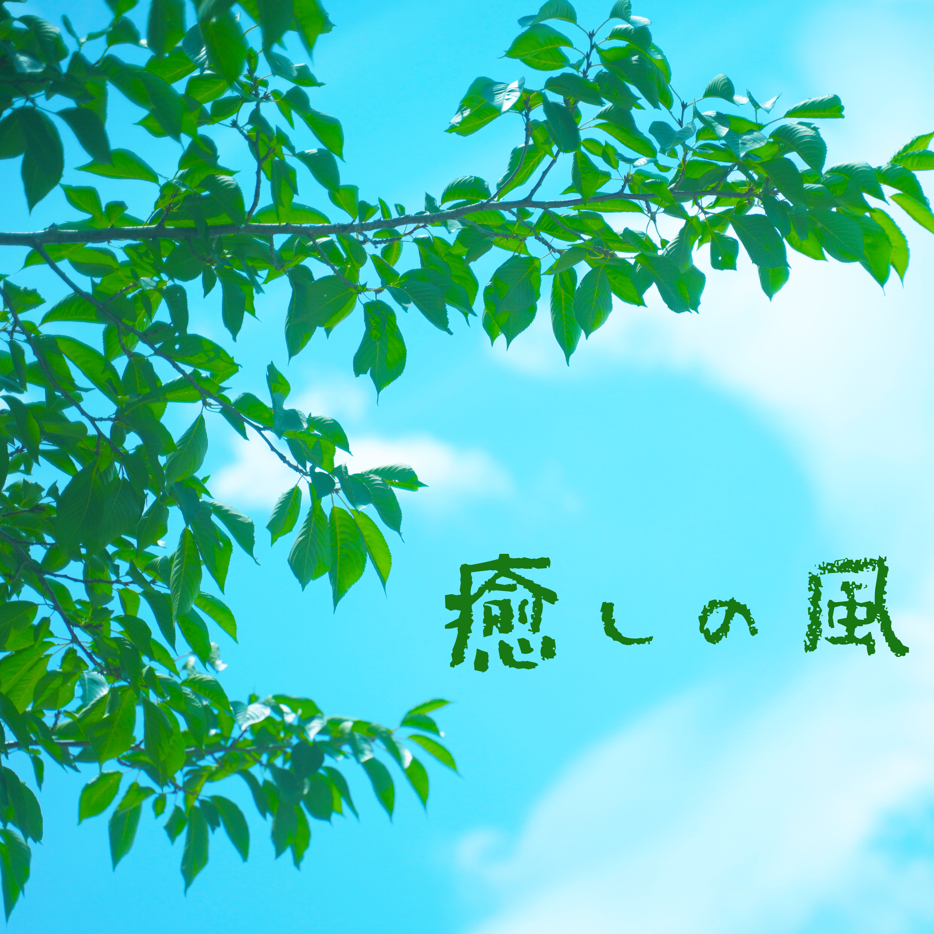 アーティスト写真