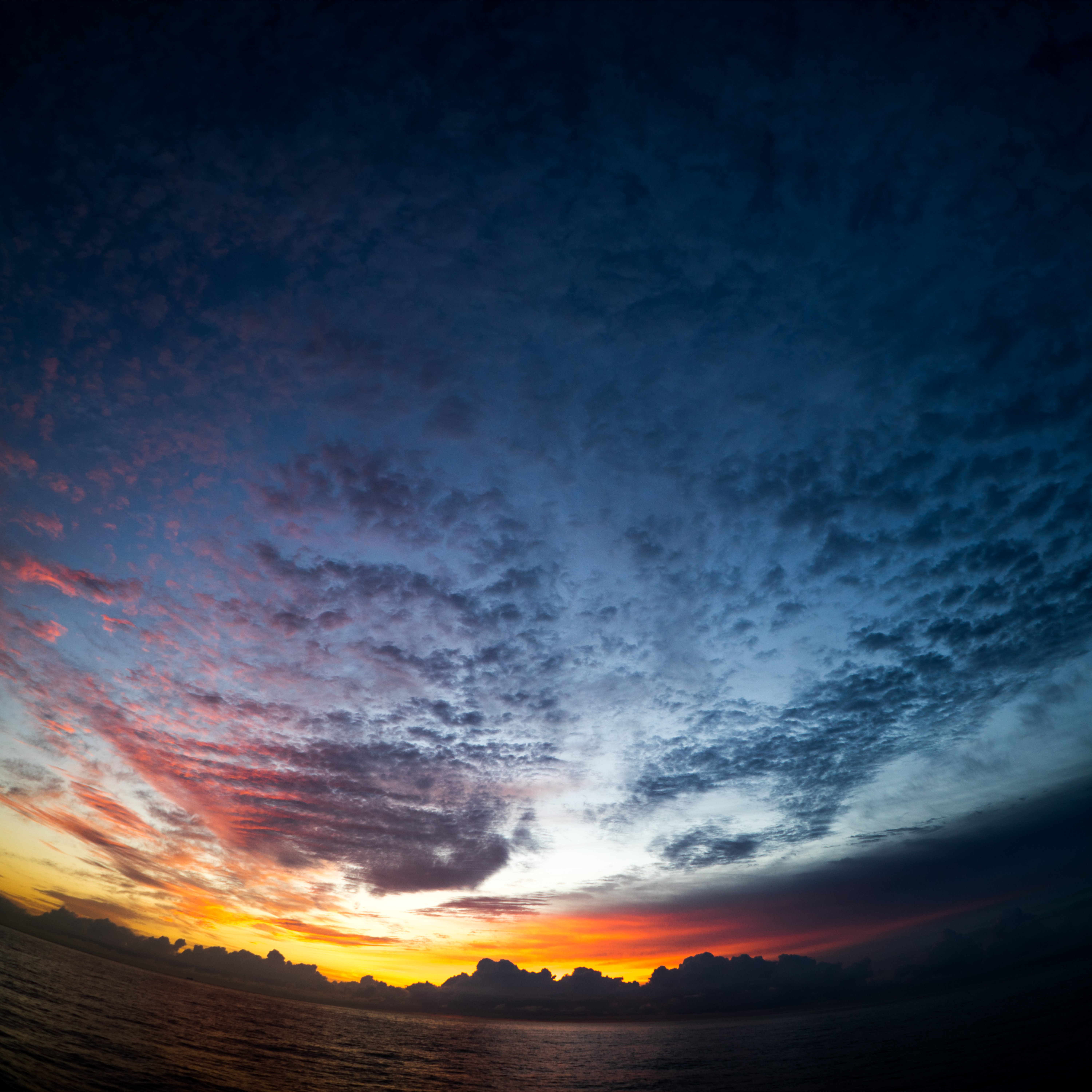 アーティスト写真