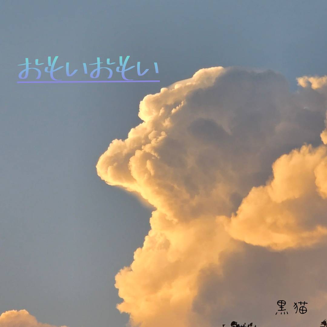 アーティスト写真