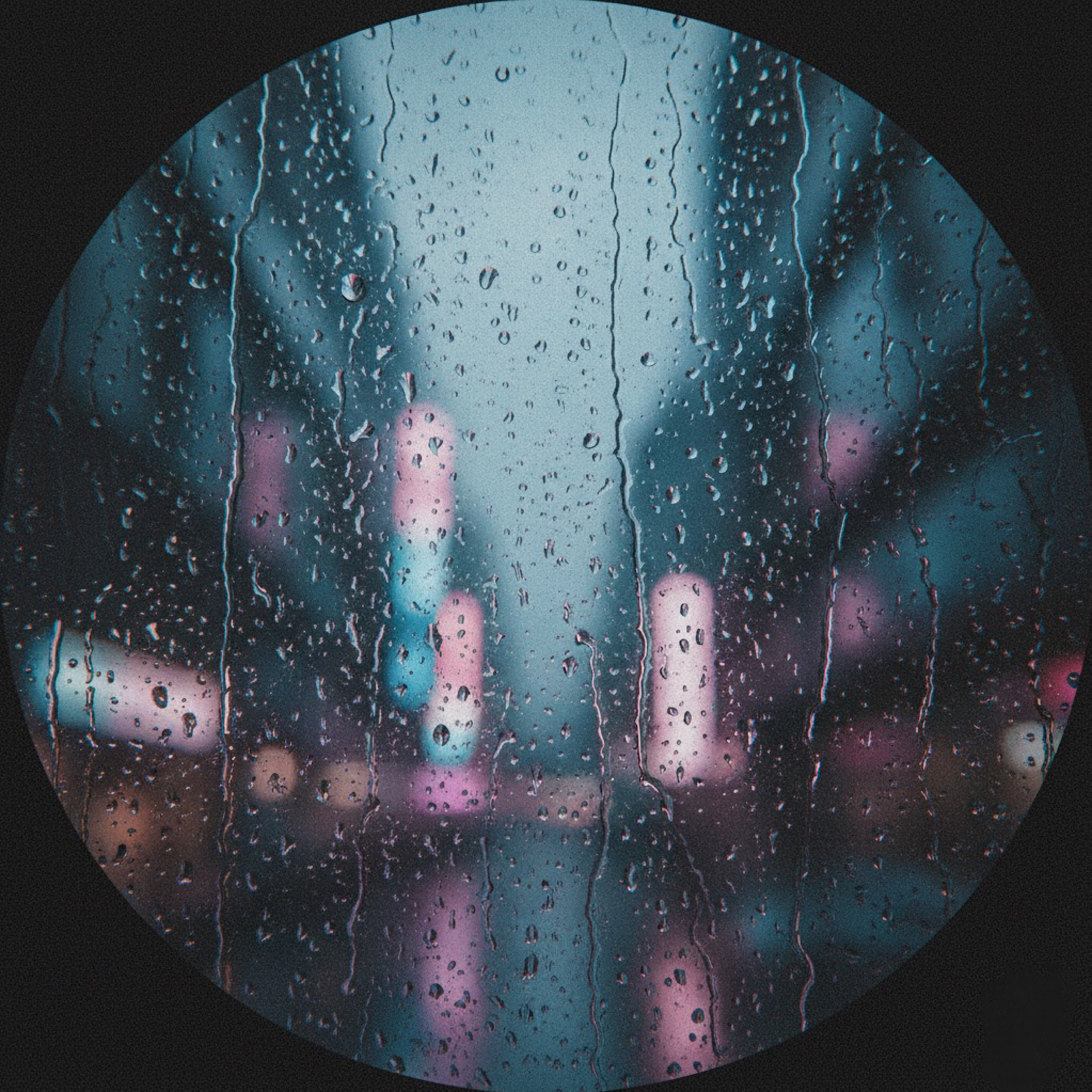 アーティスト写真