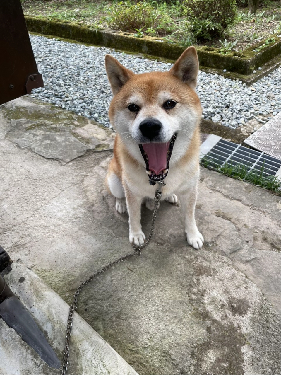 アーティスト写真