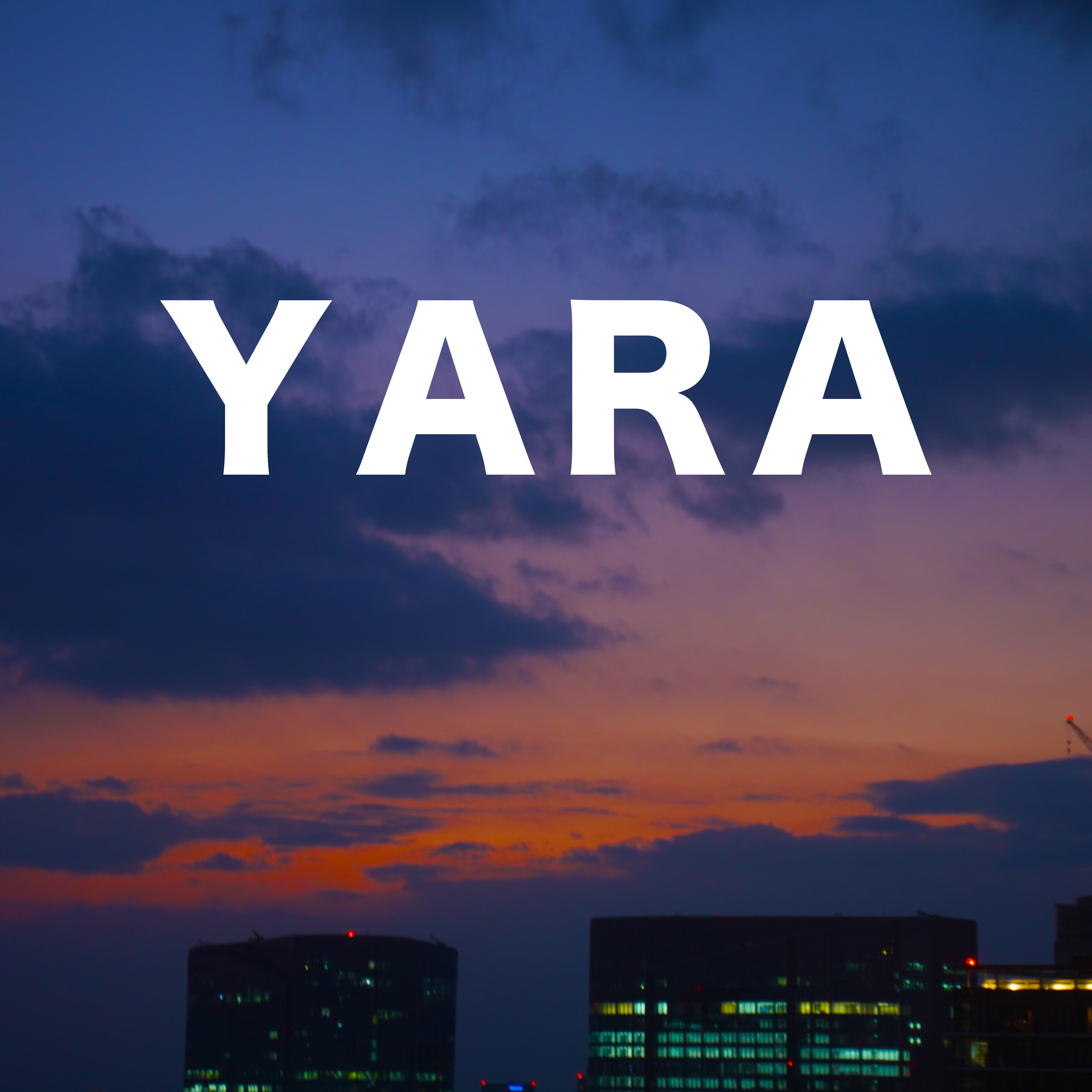 アーティスト写真