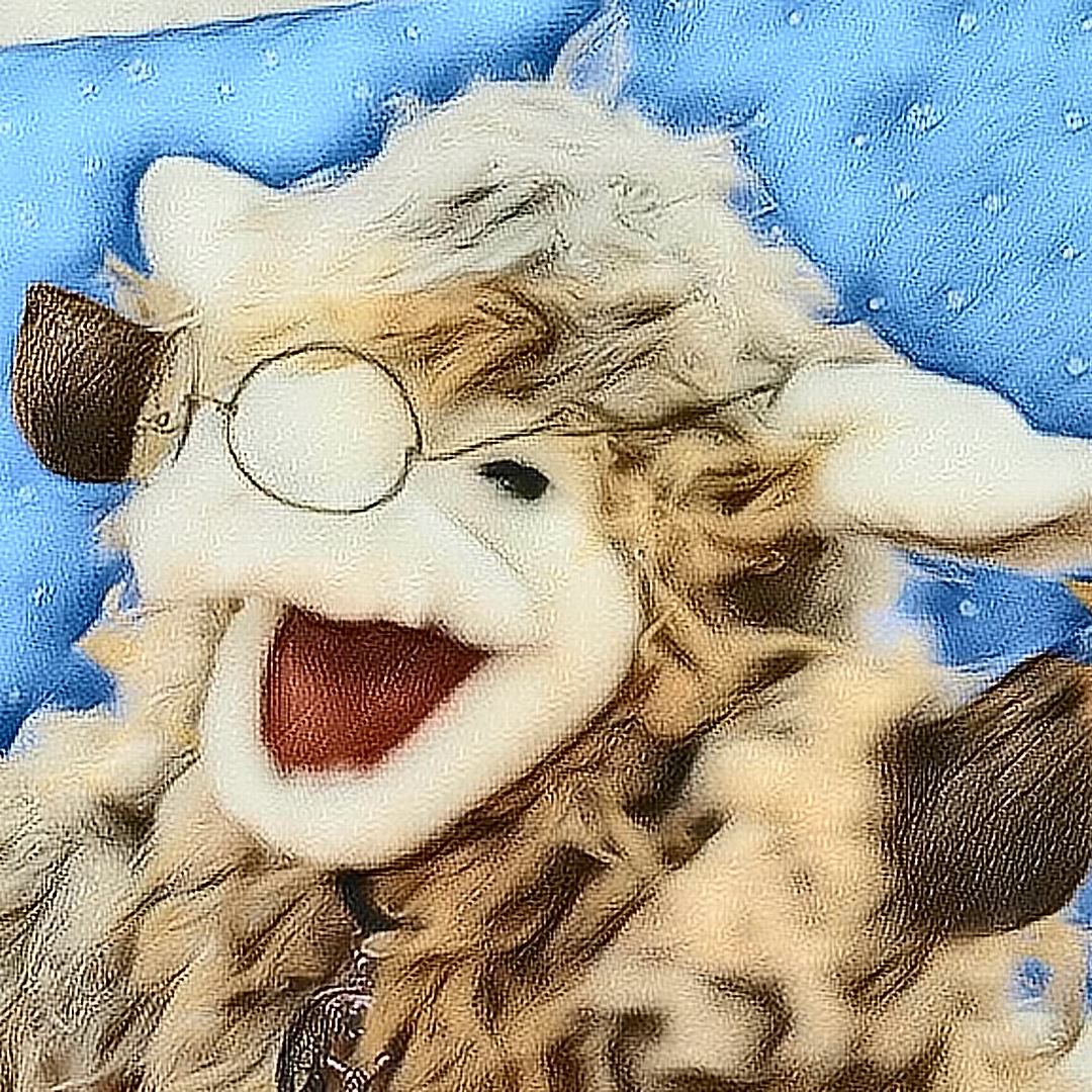 アーティスト写真