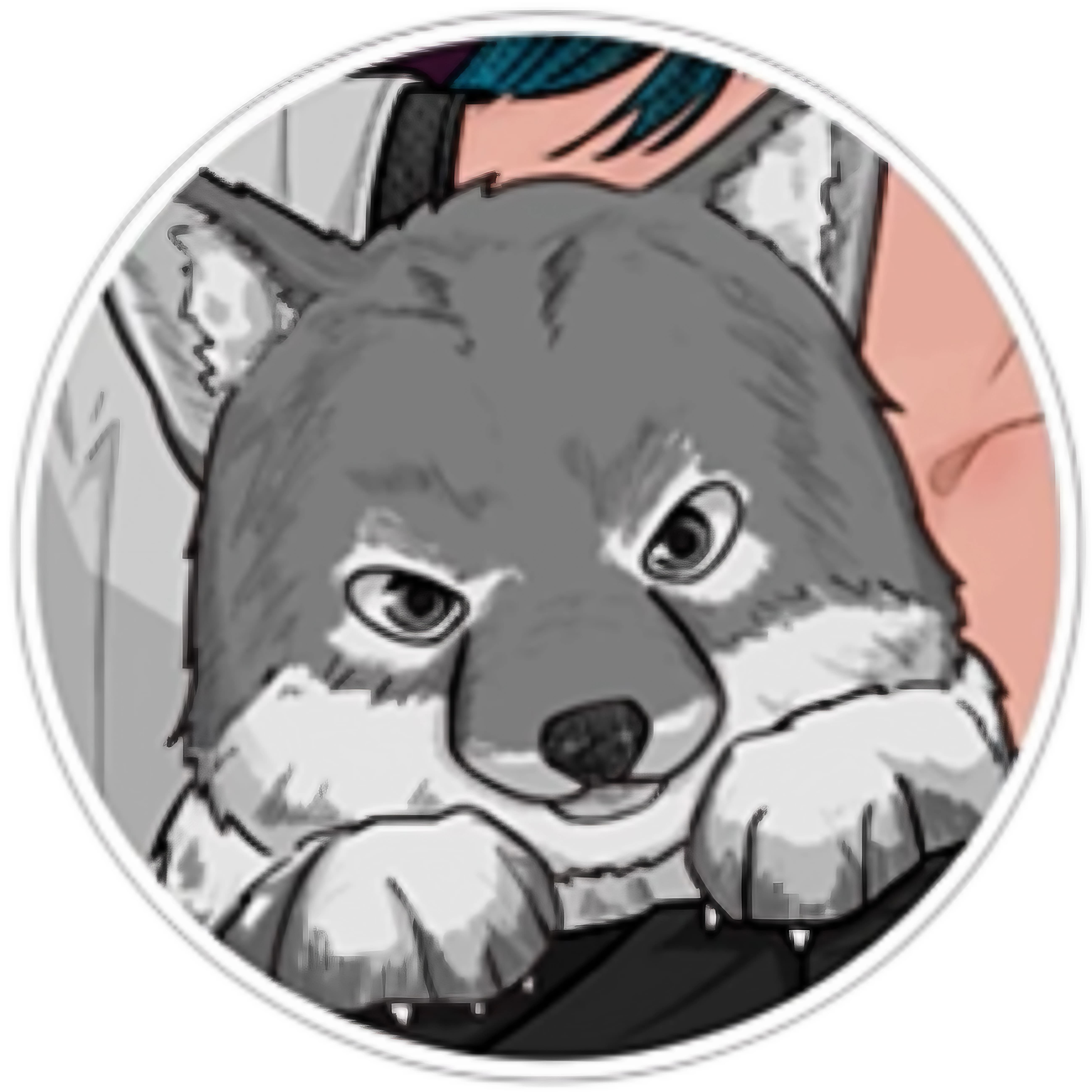 アーティスト写真