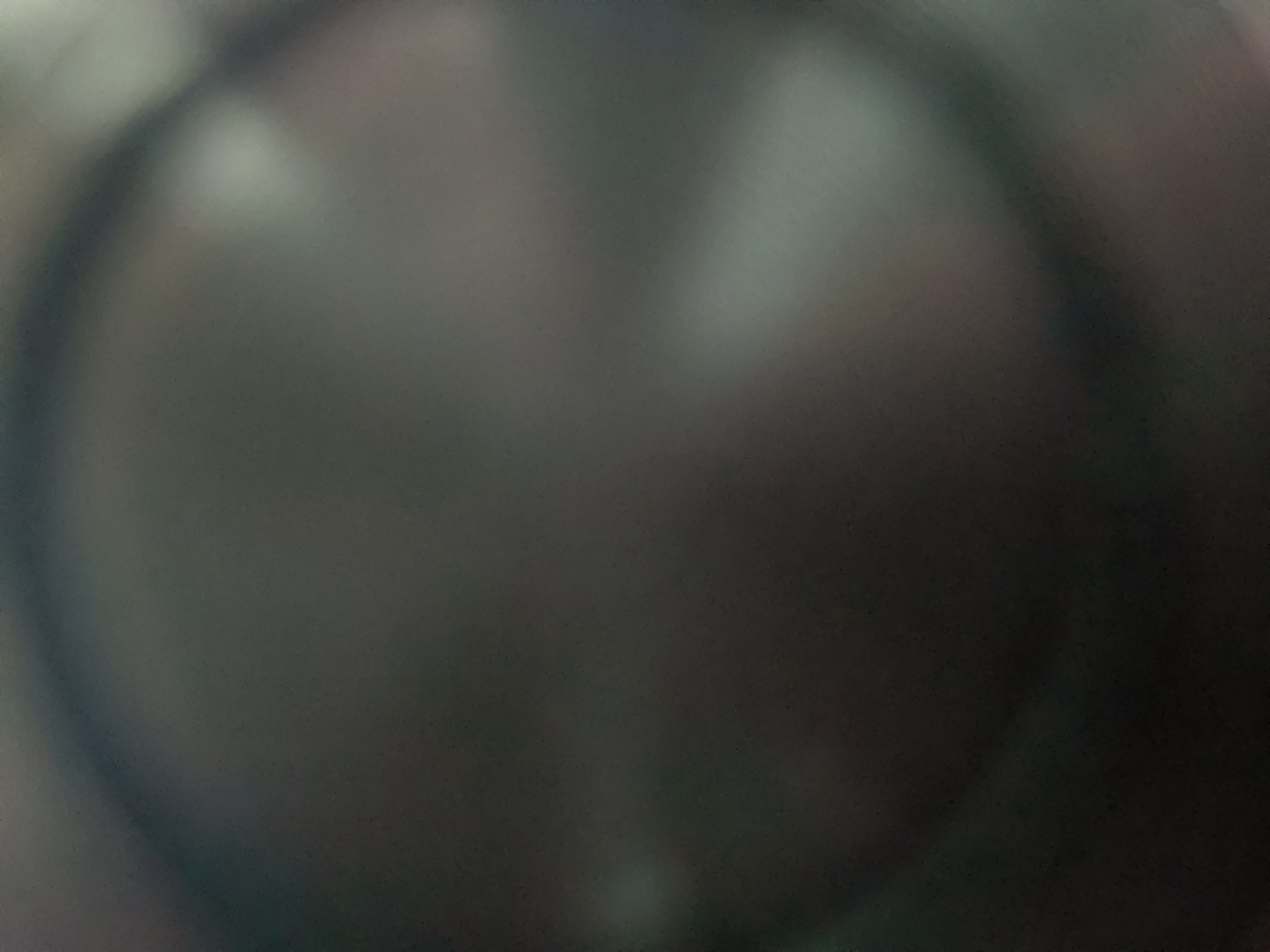 アーティスト写真