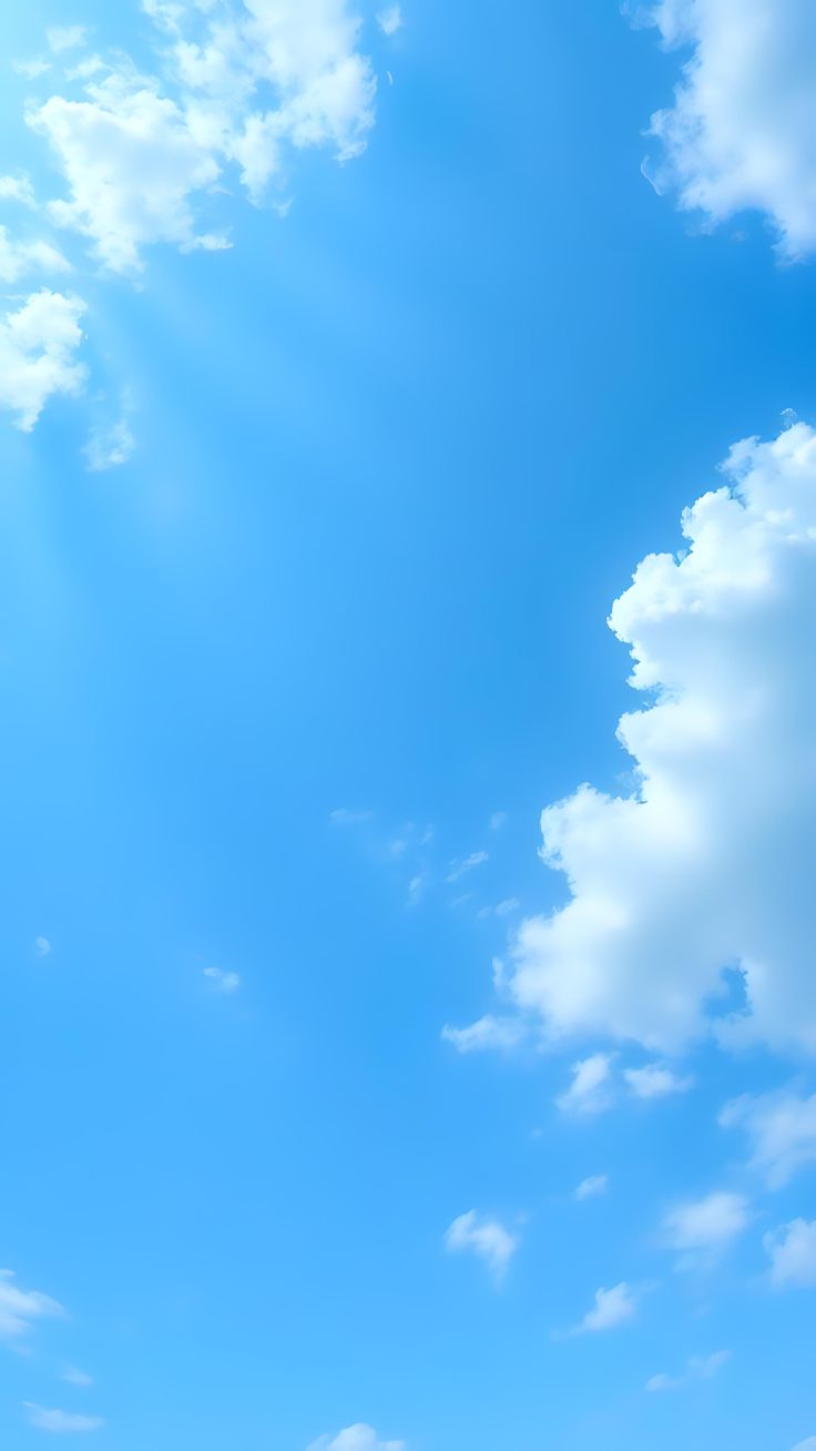 アーティスト写真