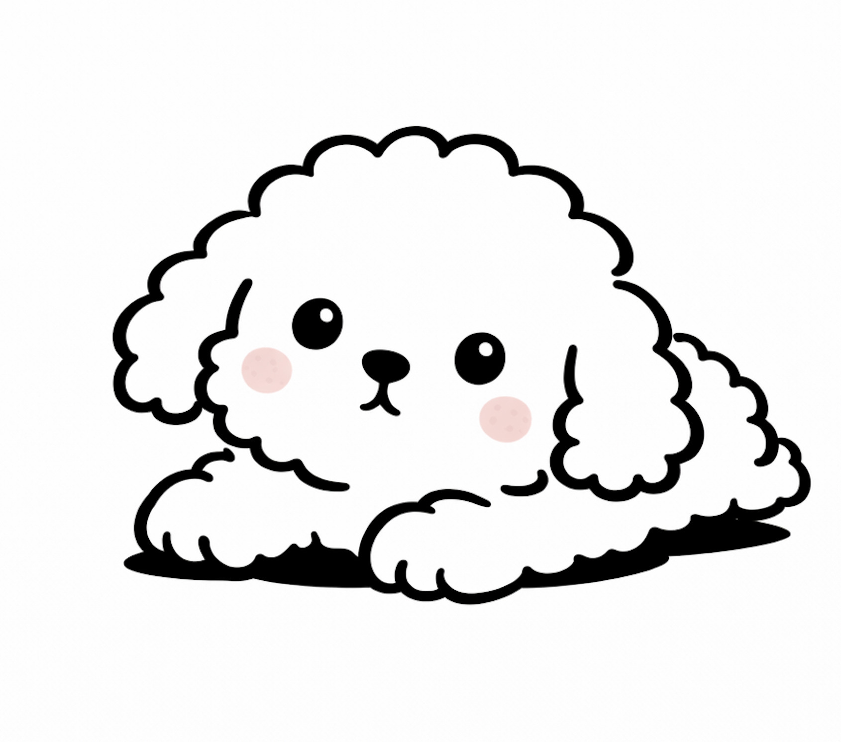 アーティスト写真