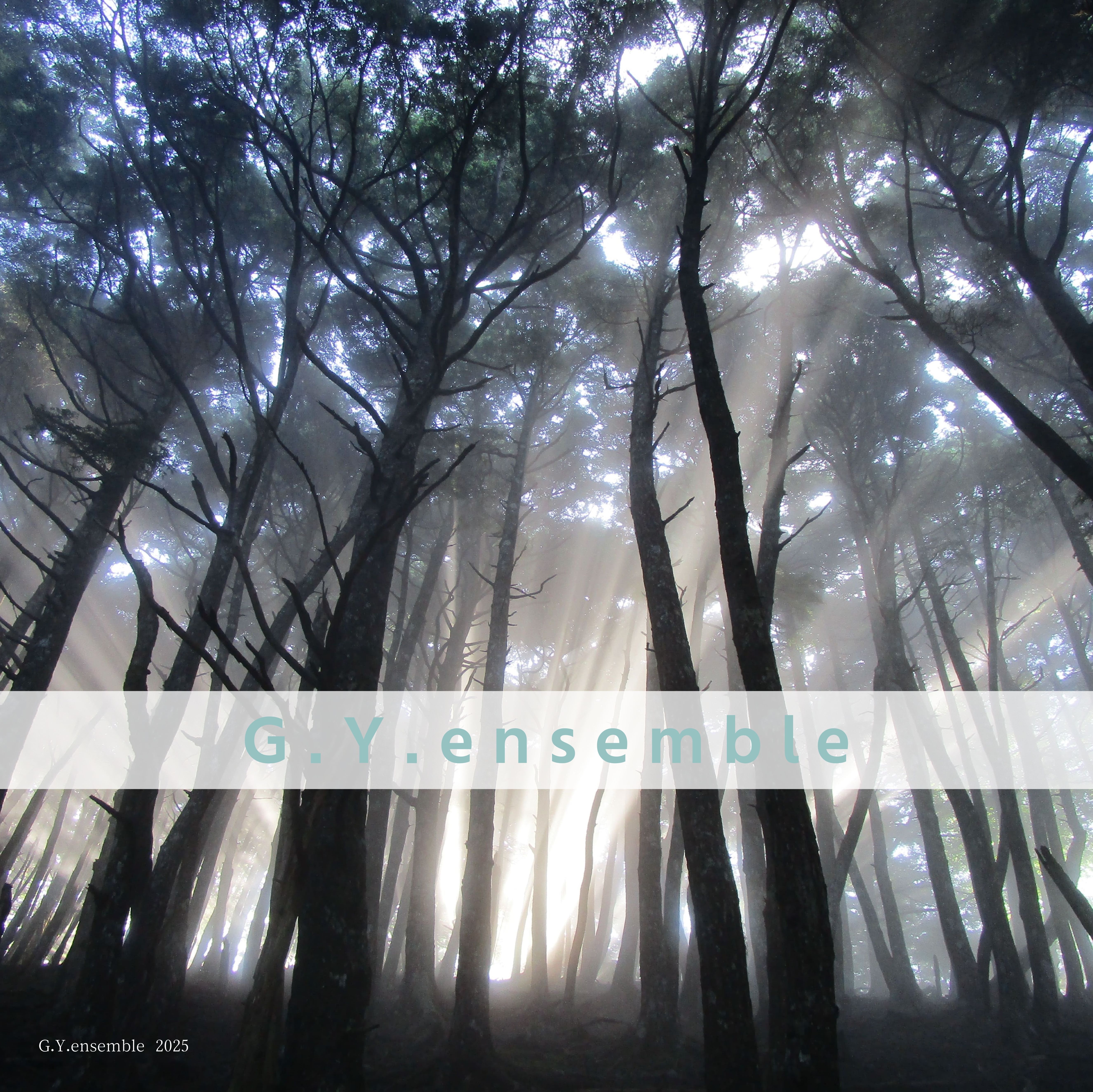 アーティスト写真