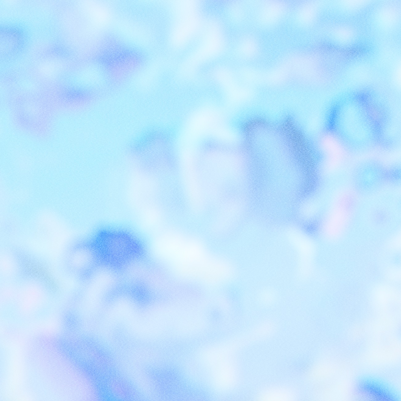 アーティスト写真