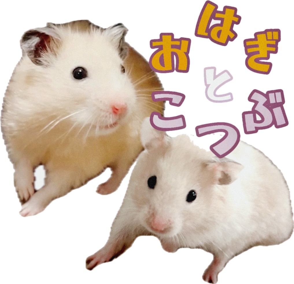 アーティスト写真