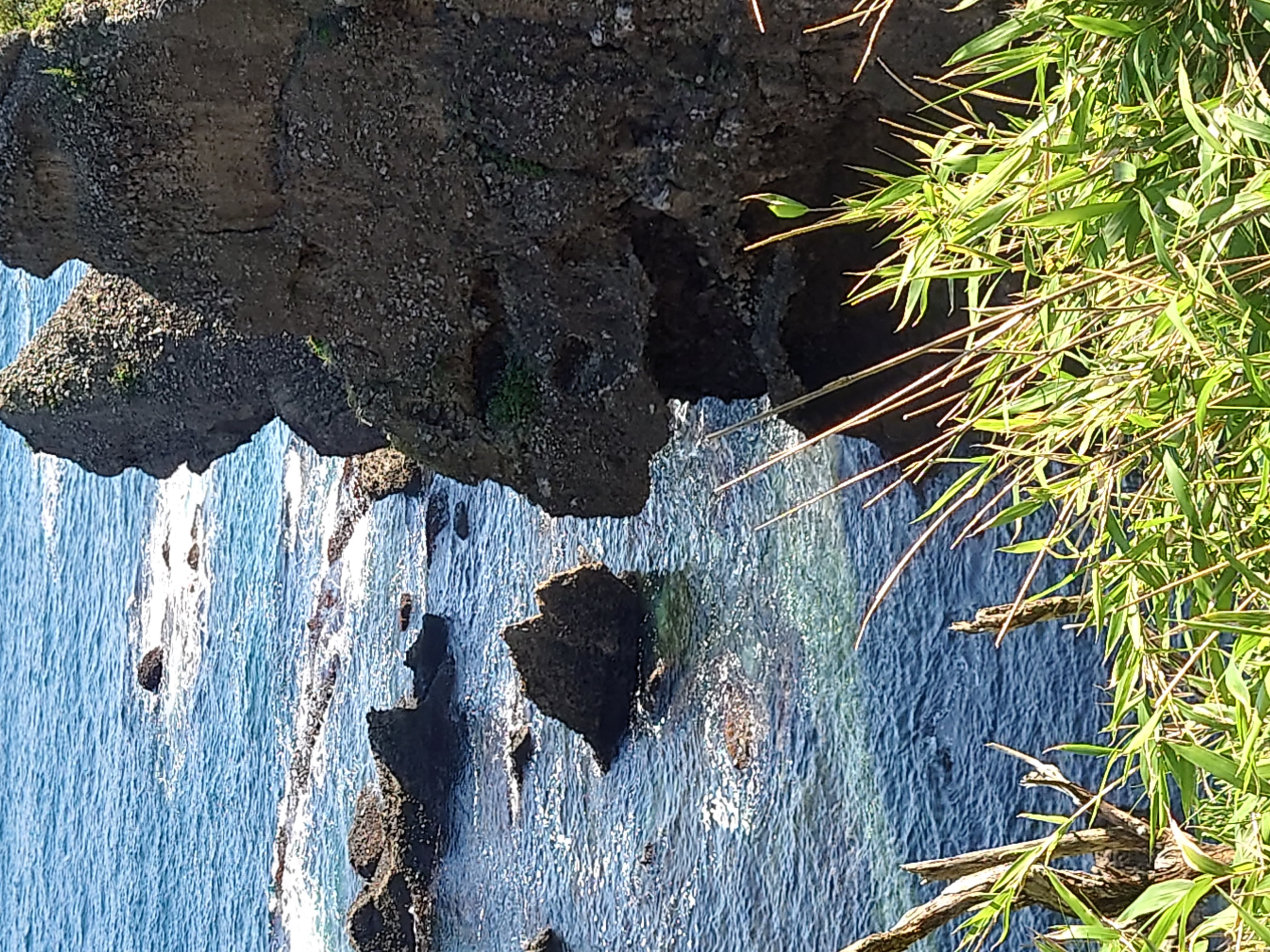 アーティスト写真