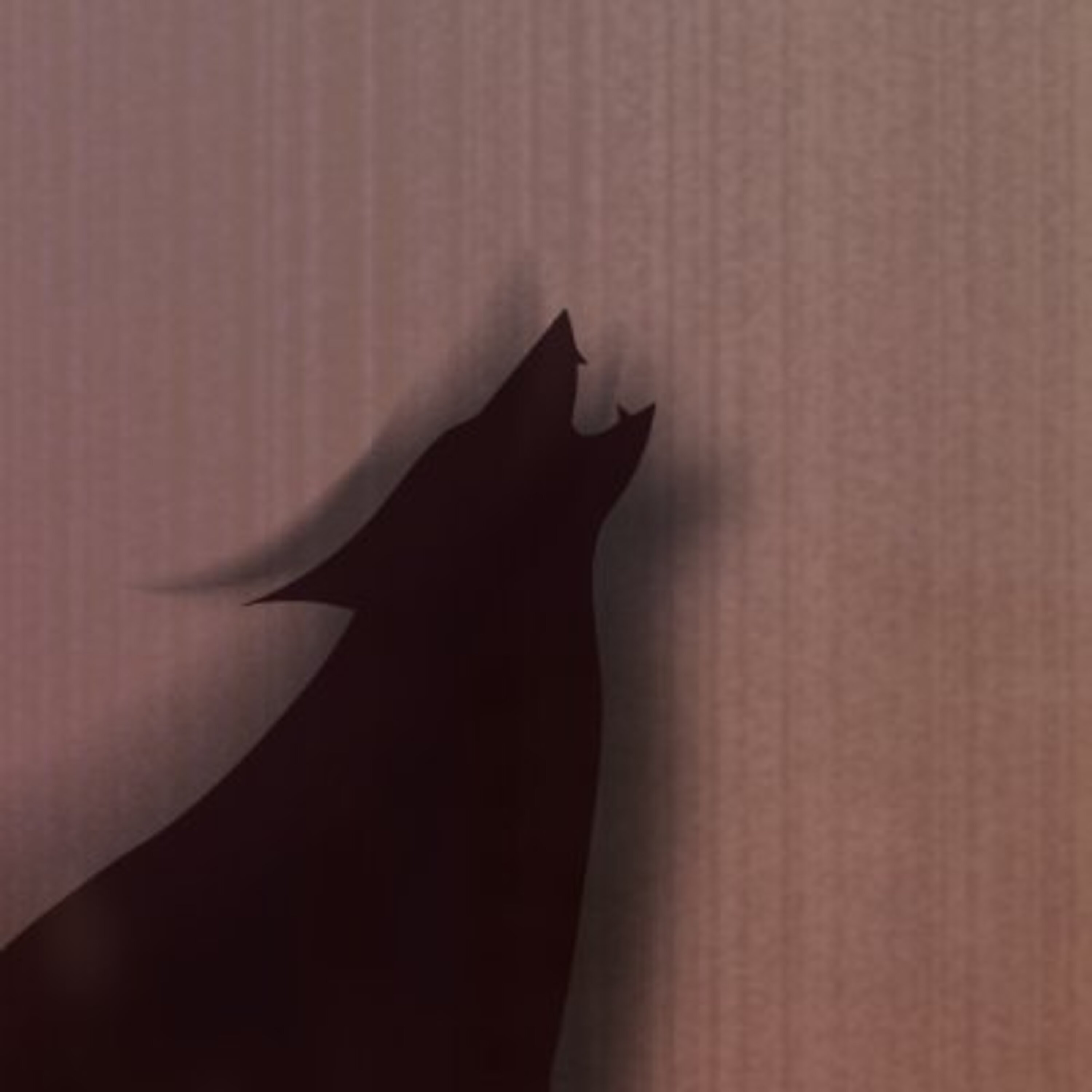 アーティスト写真