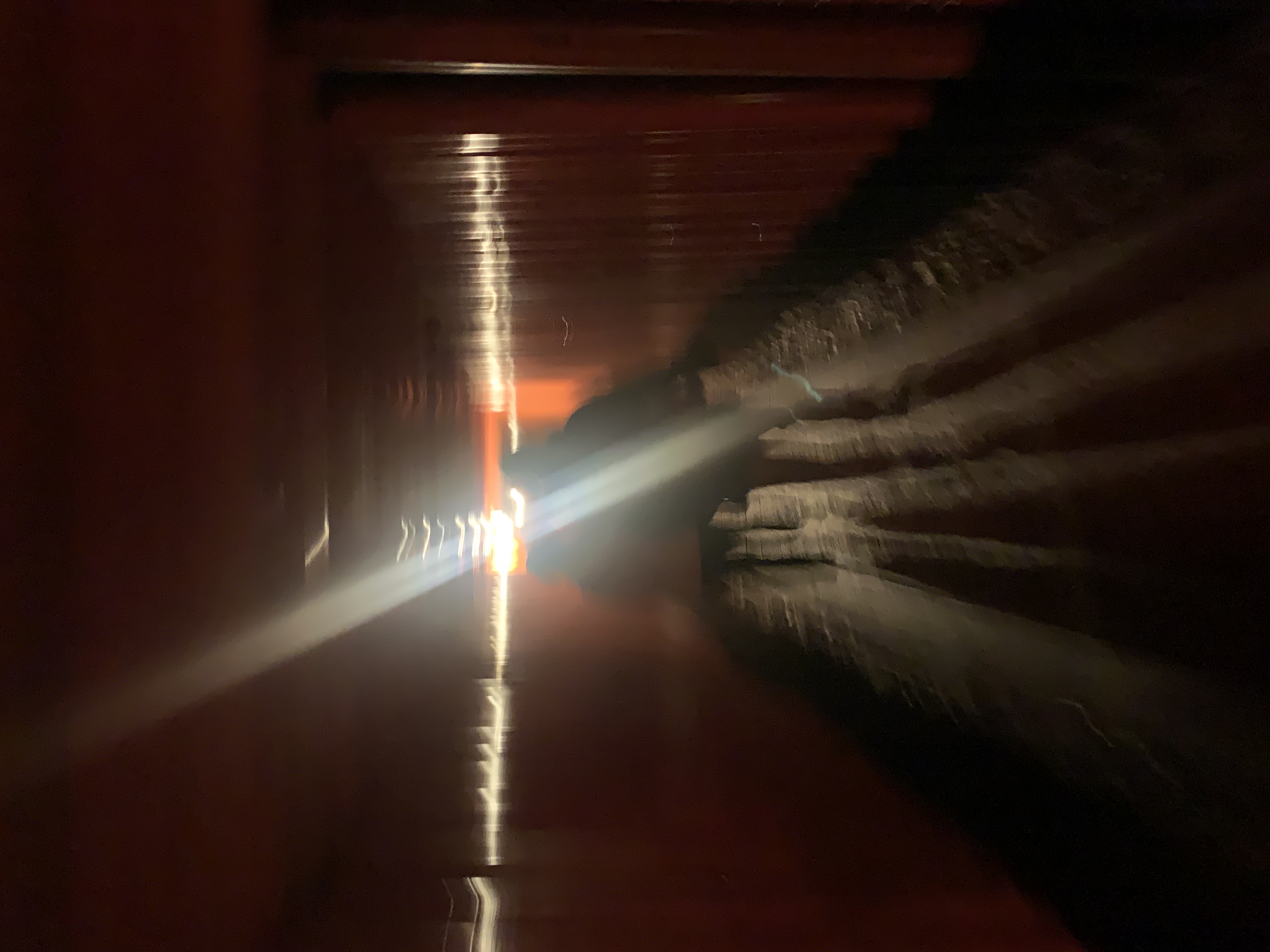 アーティスト写真