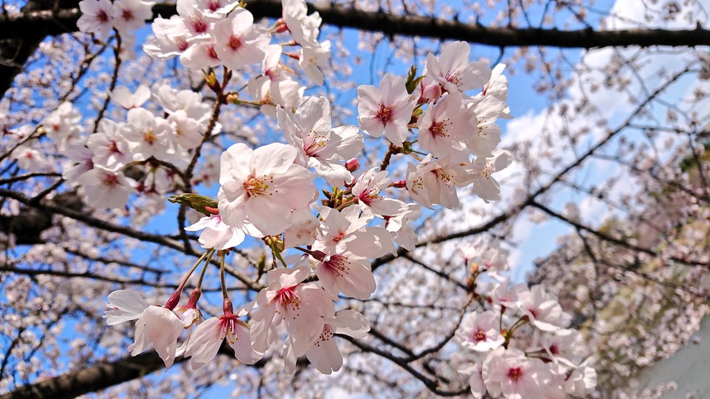 アーティスト写真