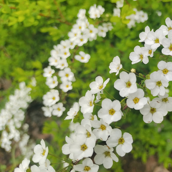 アーティスト写真