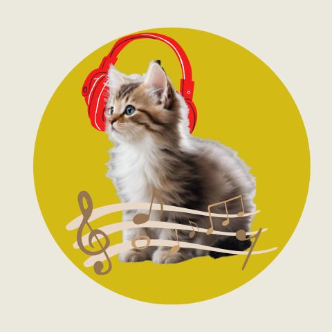 アーティスト写真