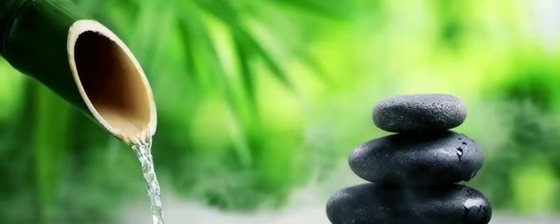 アーティスト写真