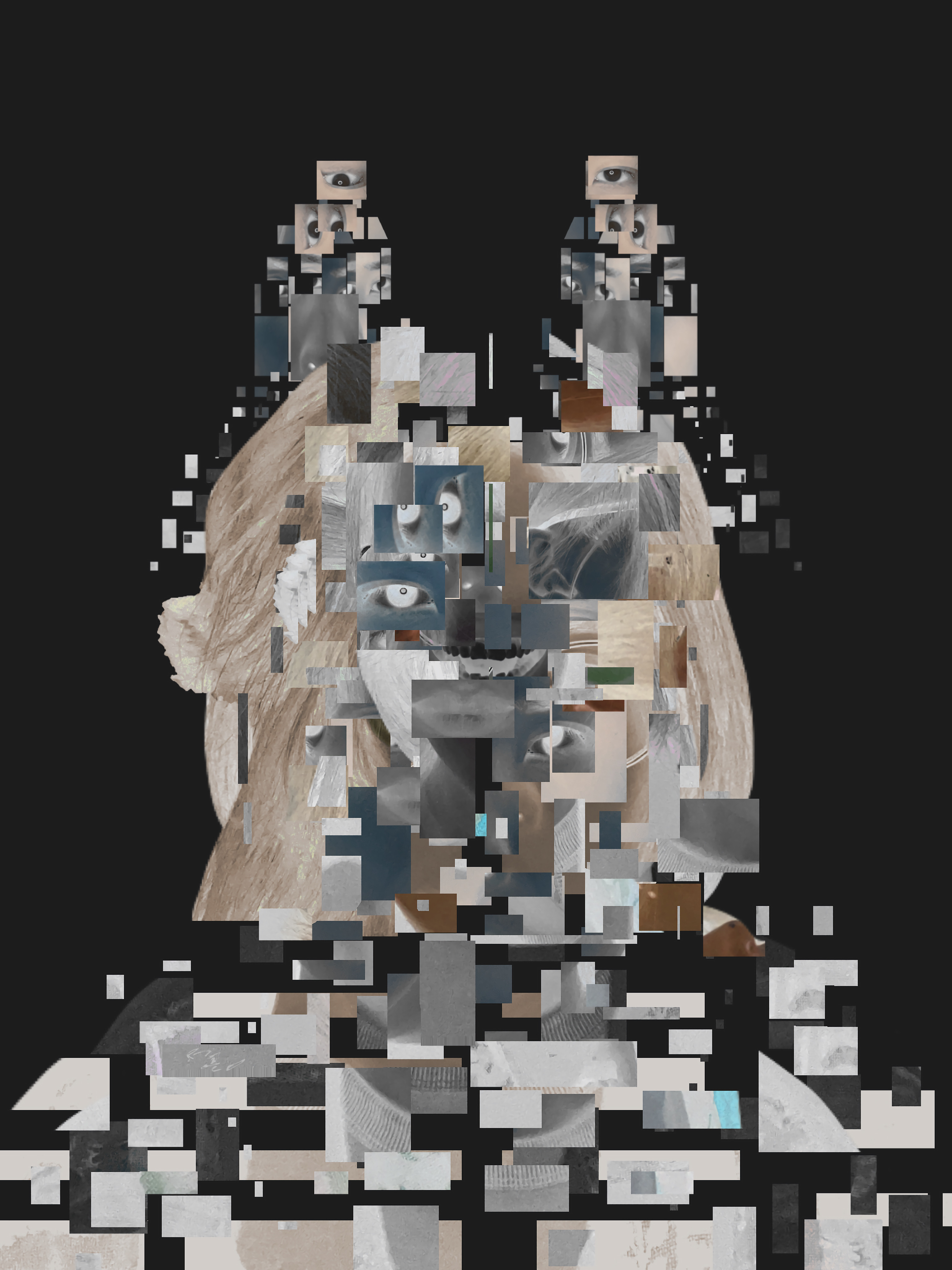 アーティスト写真