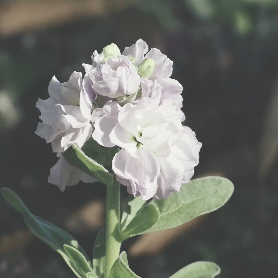 アーティスト写真