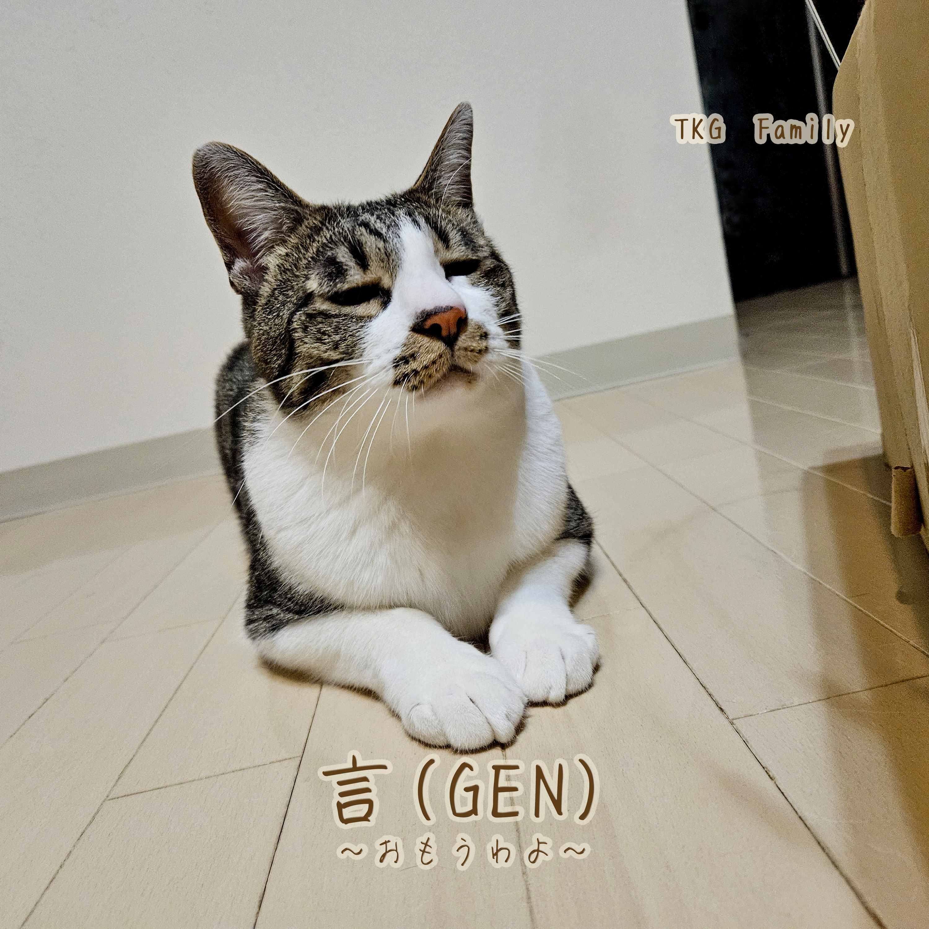 アーティスト写真