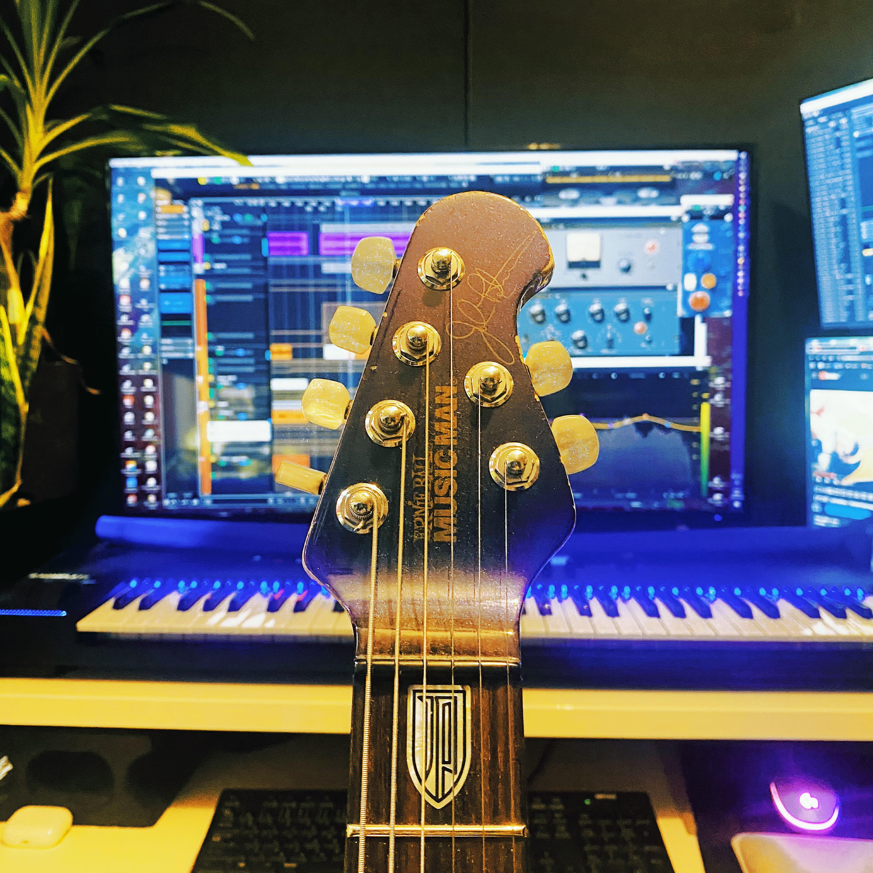 アーティスト写真