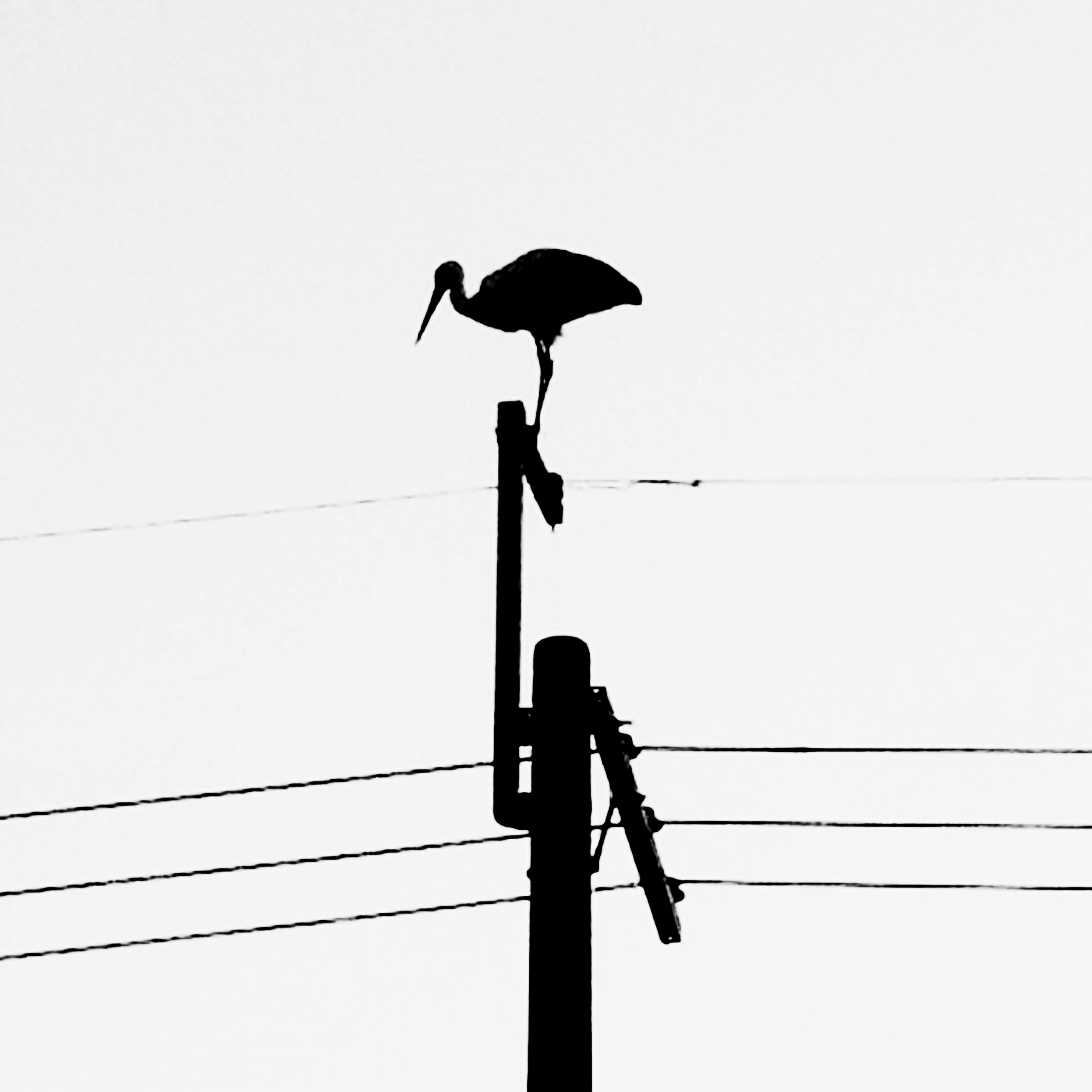 アーティスト写真