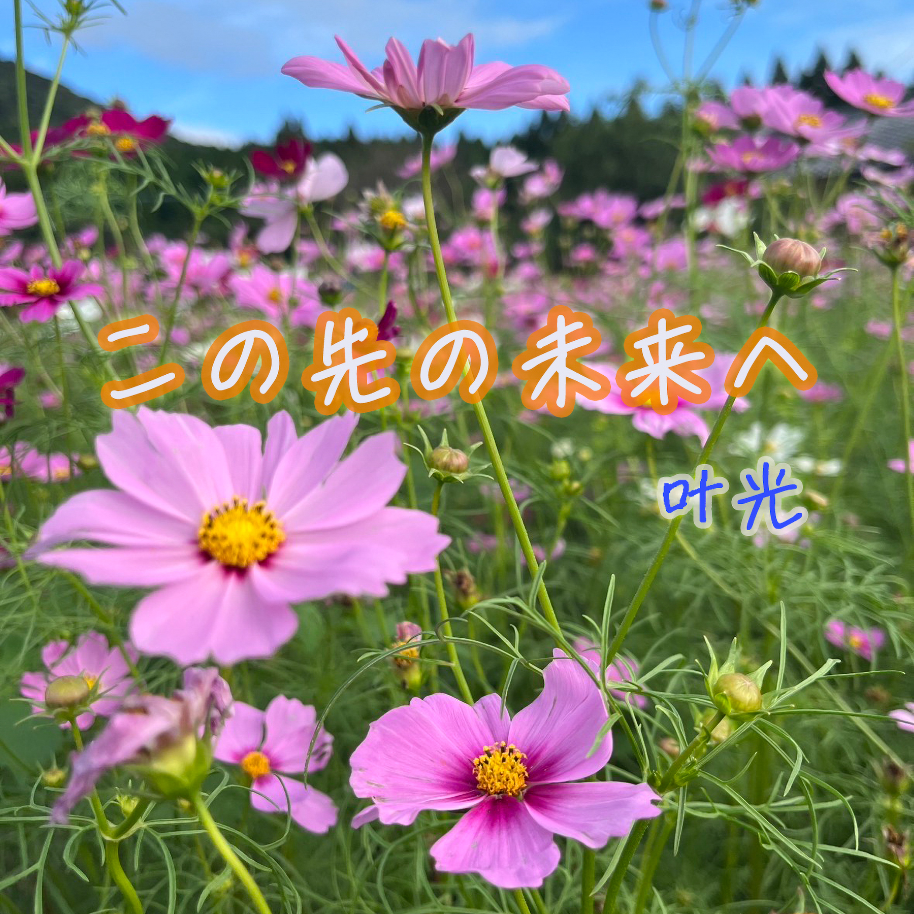 アーティスト写真