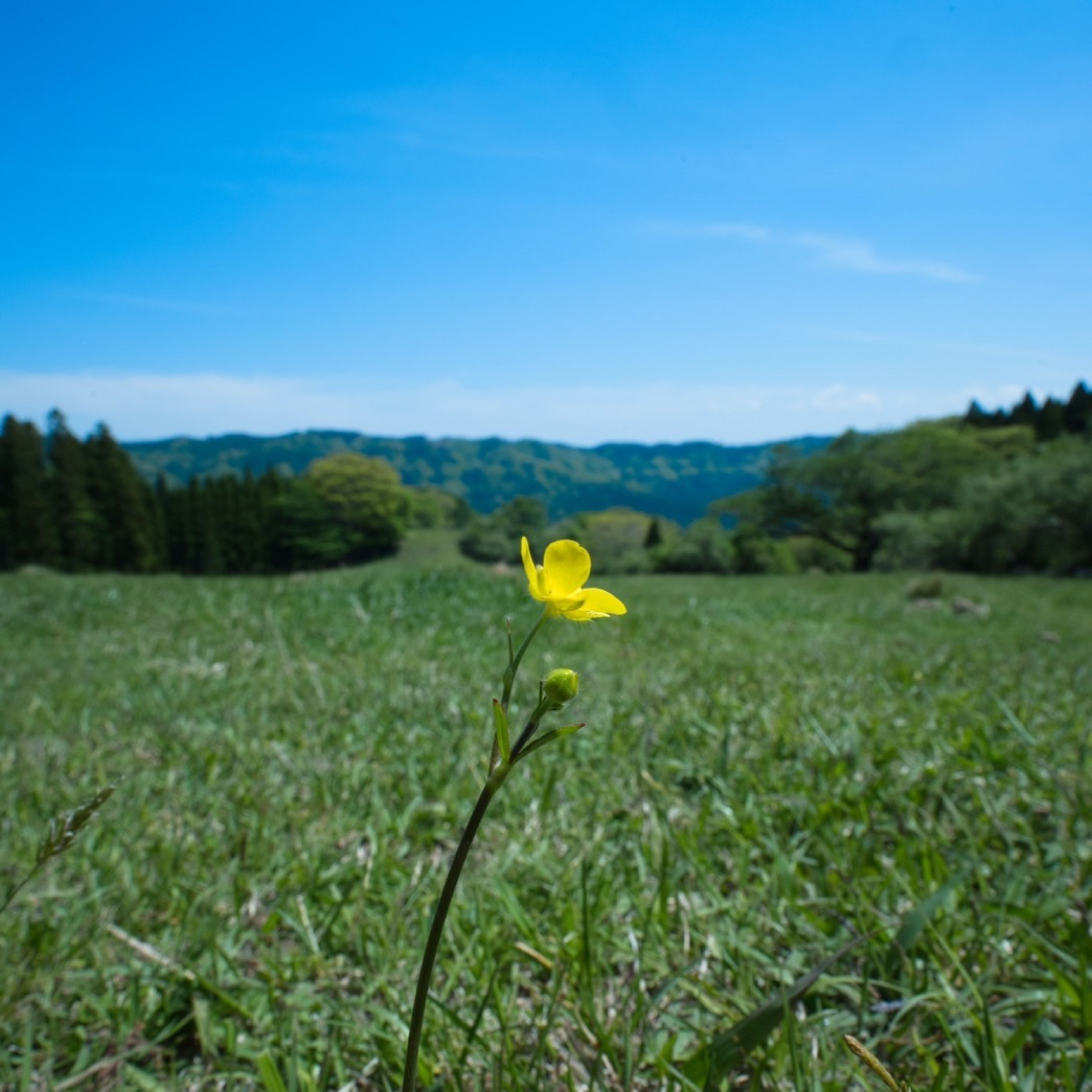 アーティスト写真