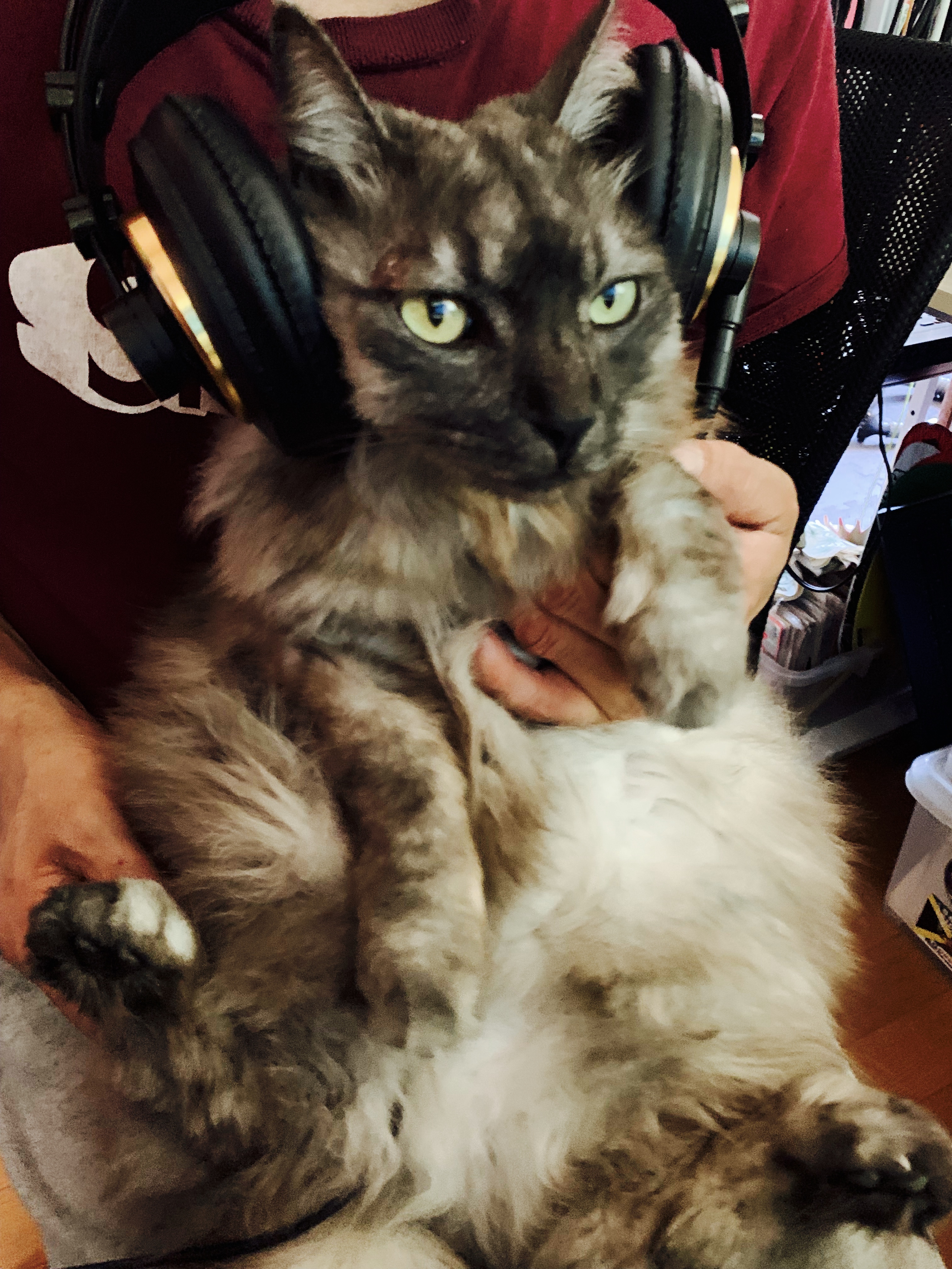 アーティスト写真