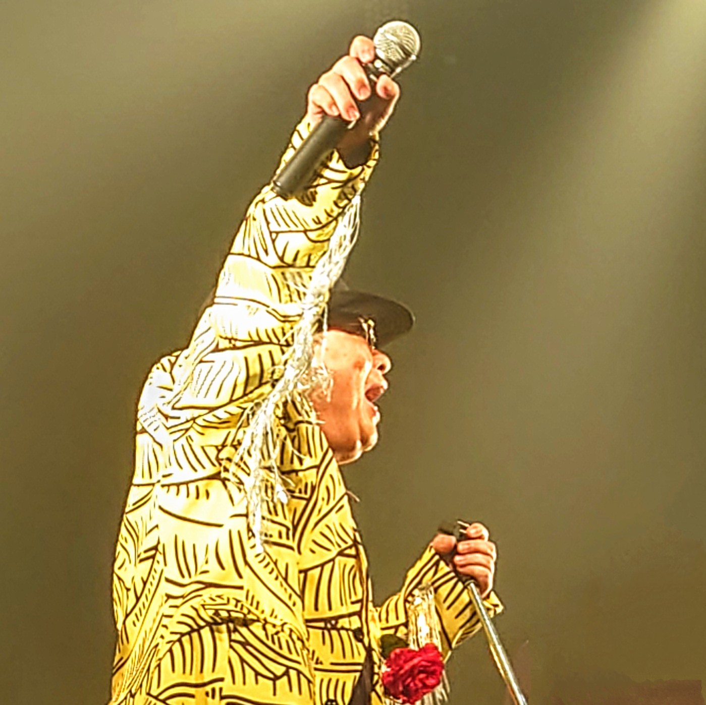 アーティスト写真