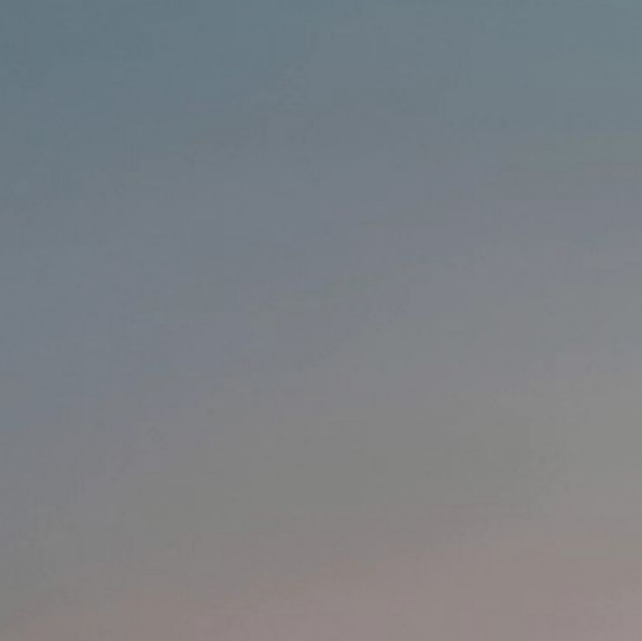 アーティスト写真