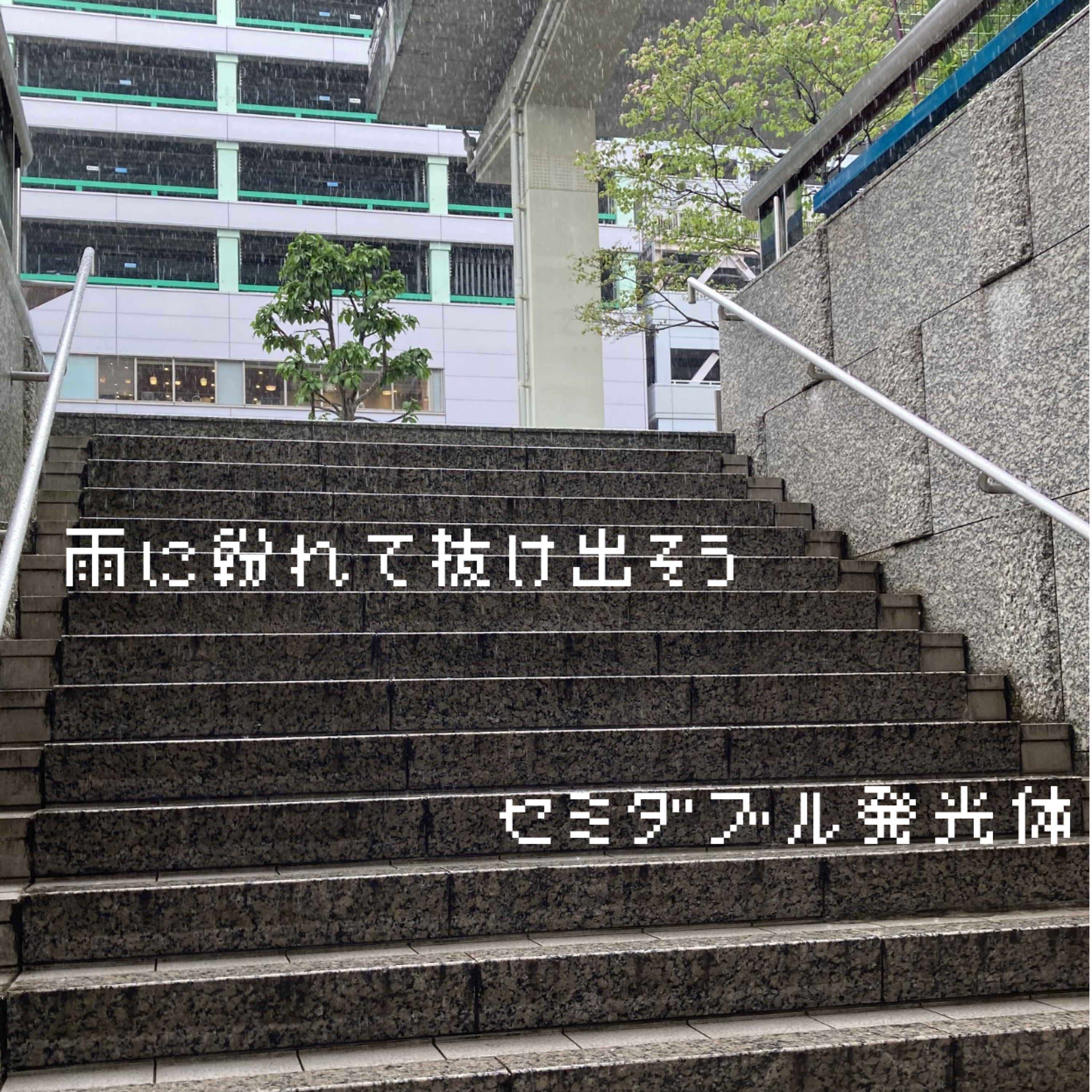 ジャケット写真