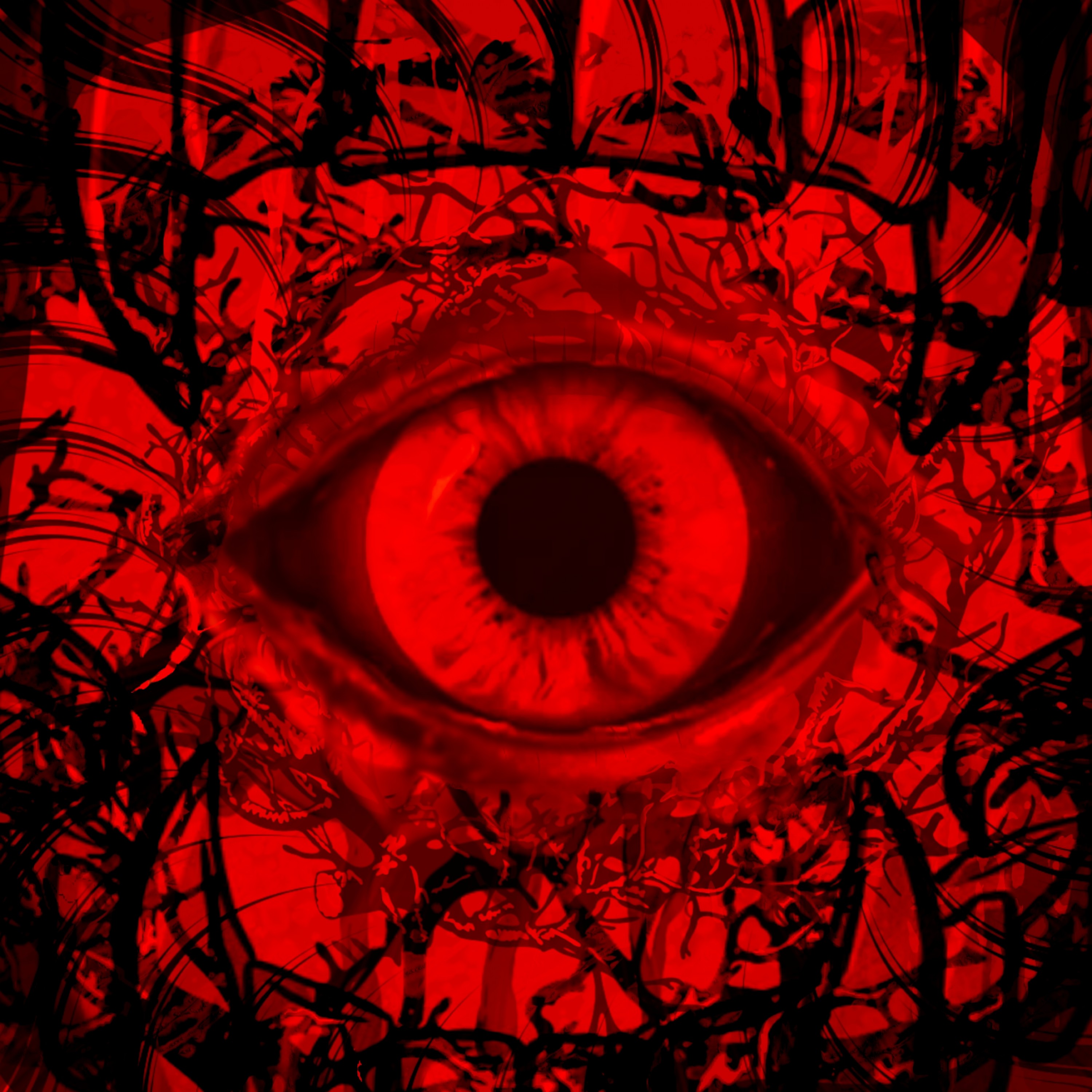 ジャケット写真