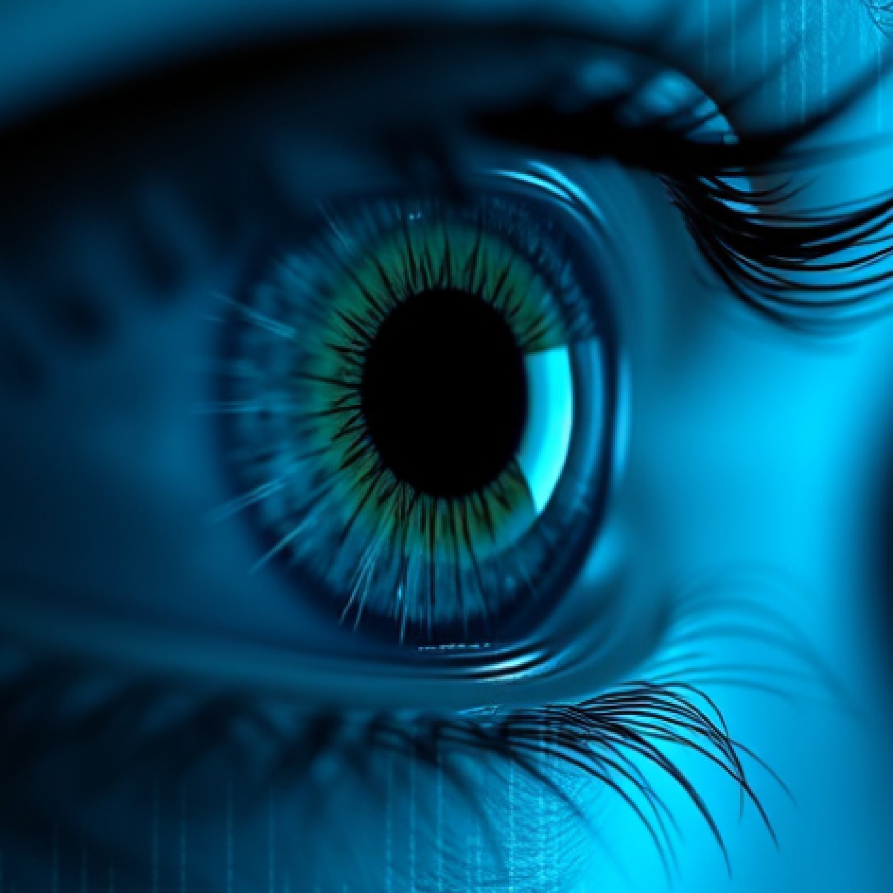 ジャケット写真