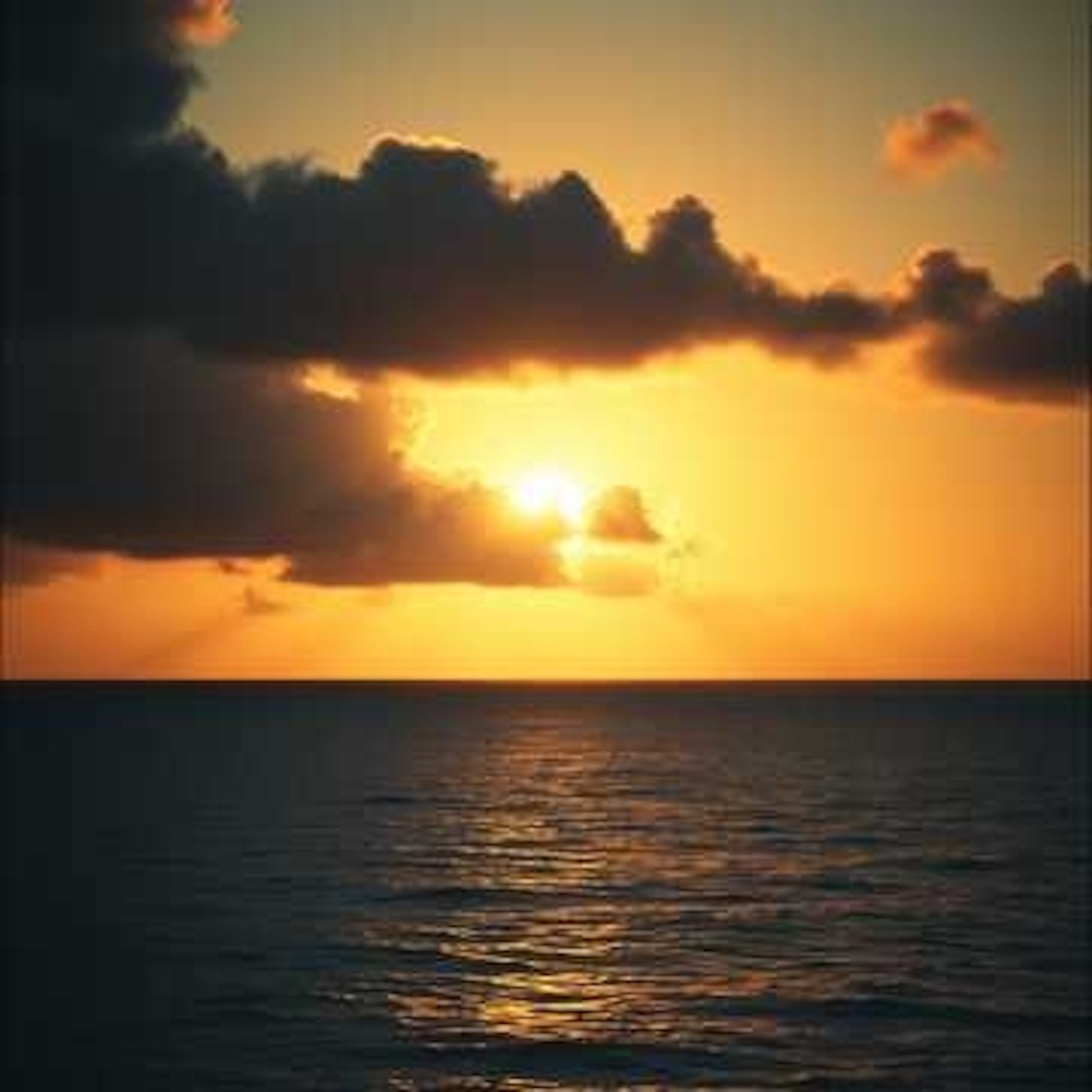 ジャケット写真