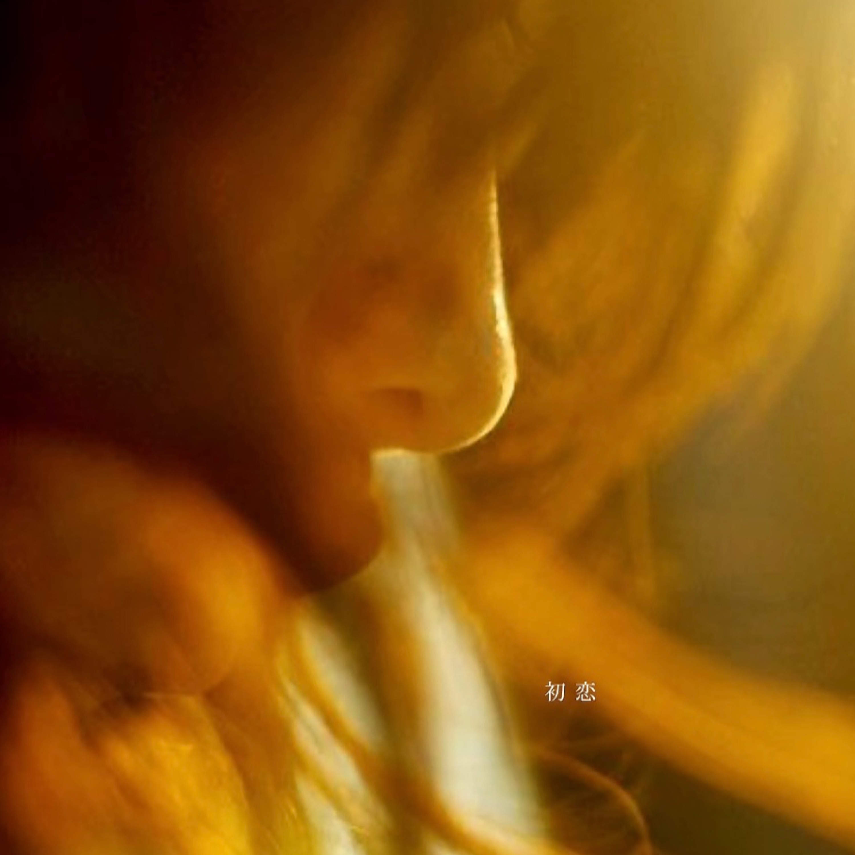 ジャケット写真