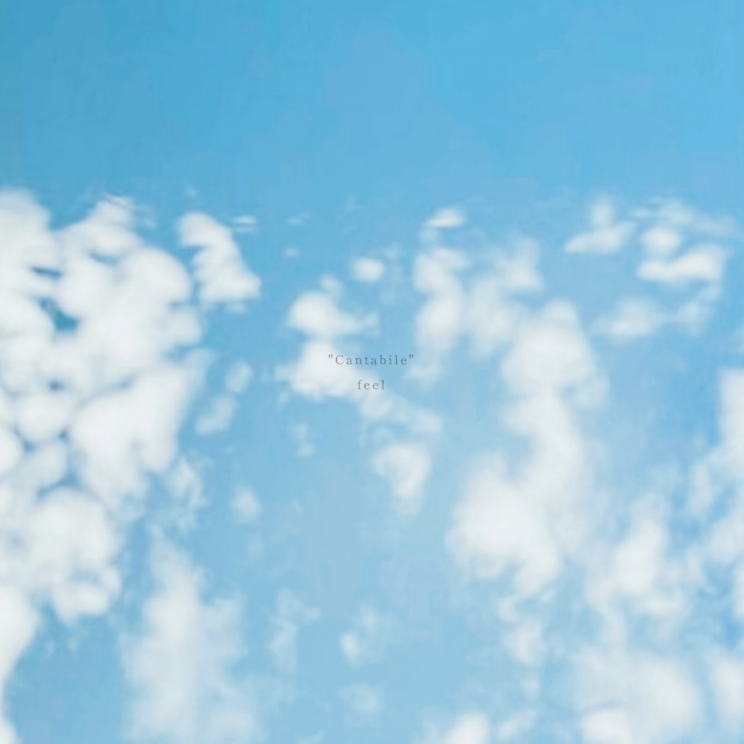 ジャケット写真