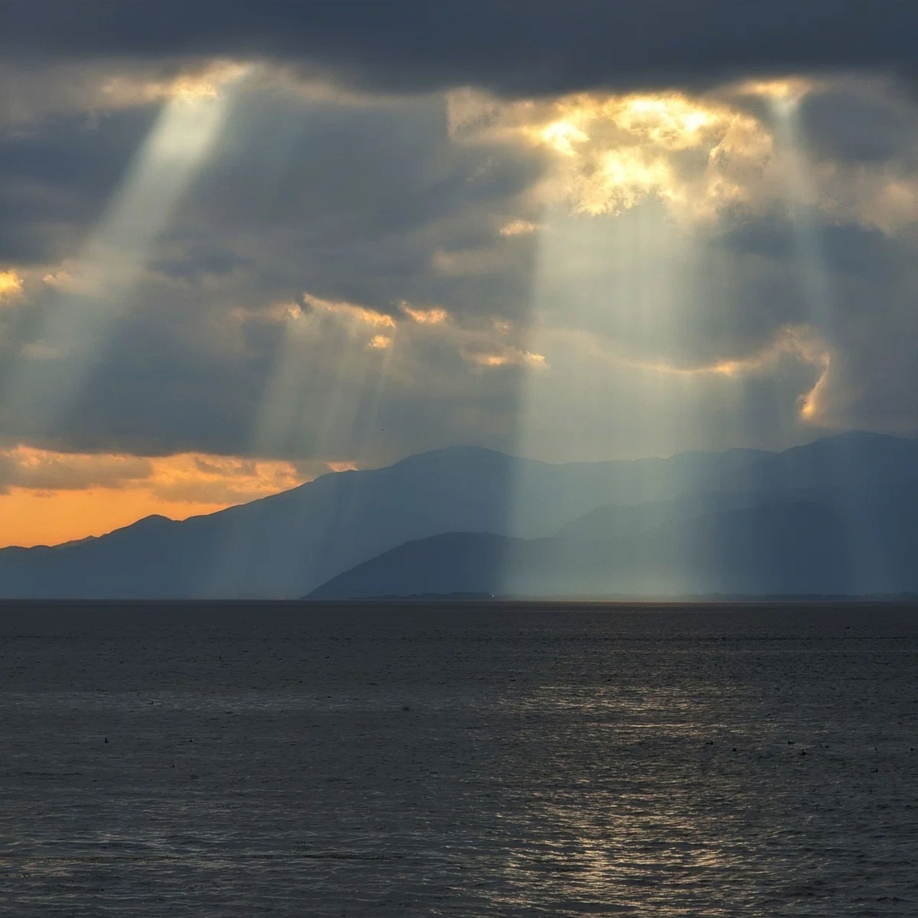 ジャケット写真